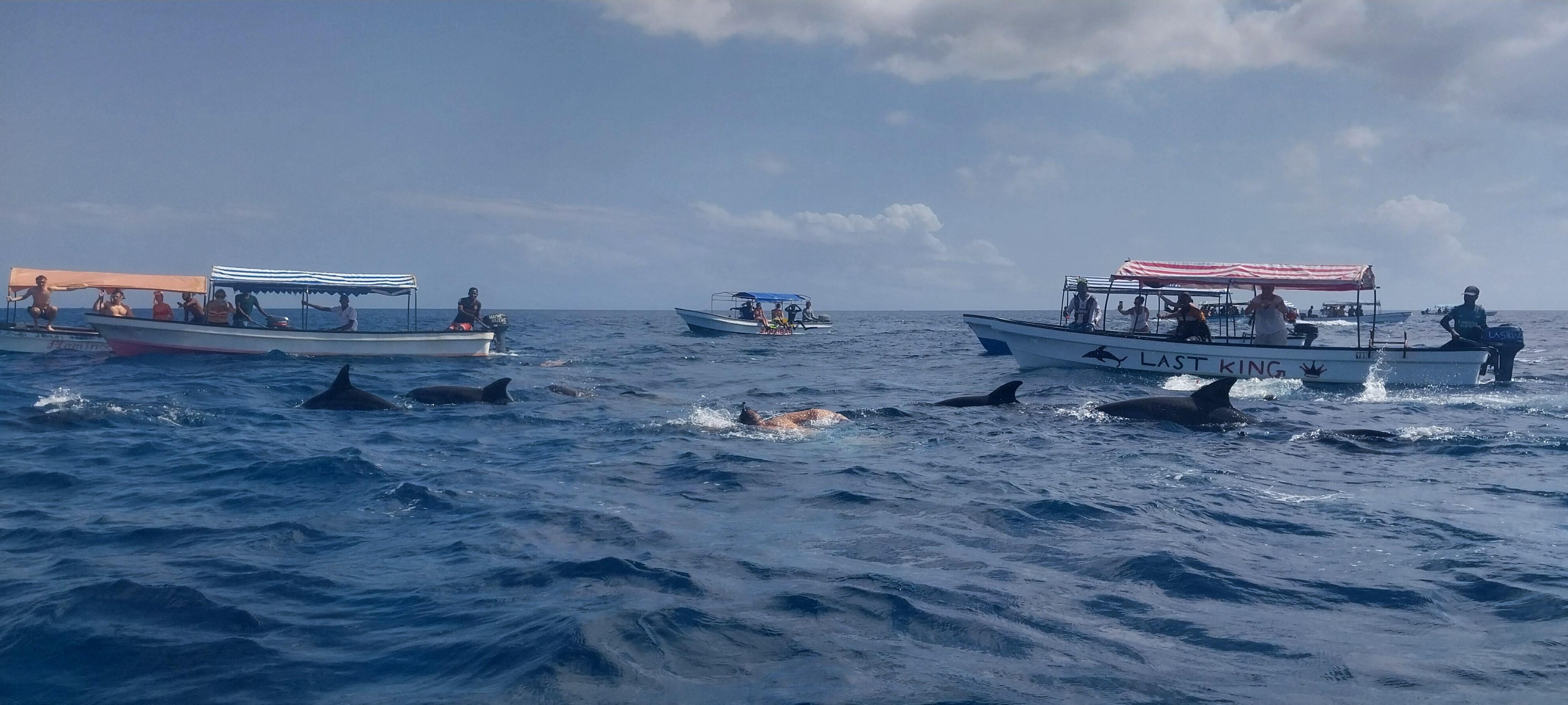 Mnemba Island Snorkeling & Dolphin Encounter from Nungwi