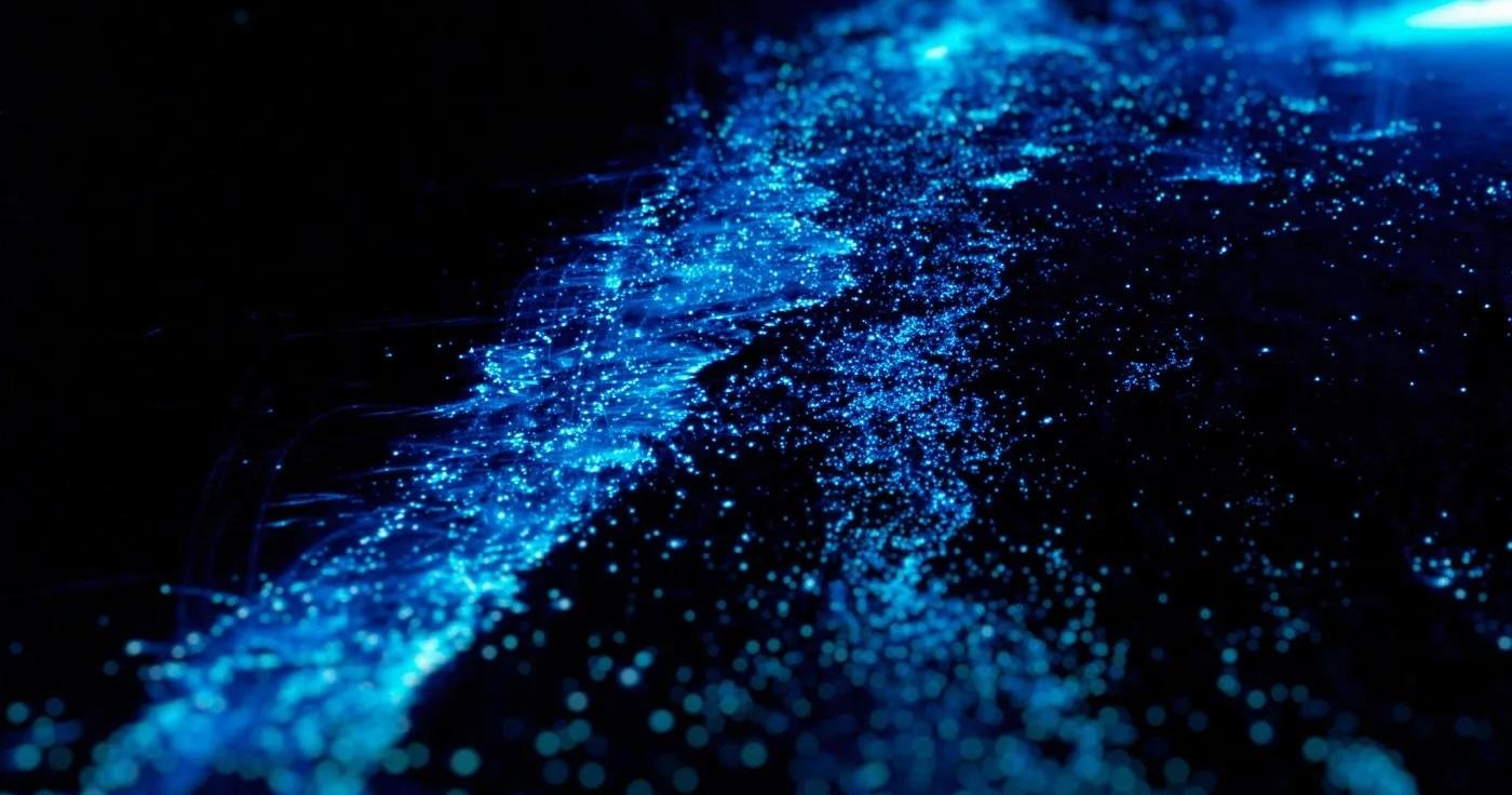 Bioluminescent Kayak Adventure in Griffin Bay