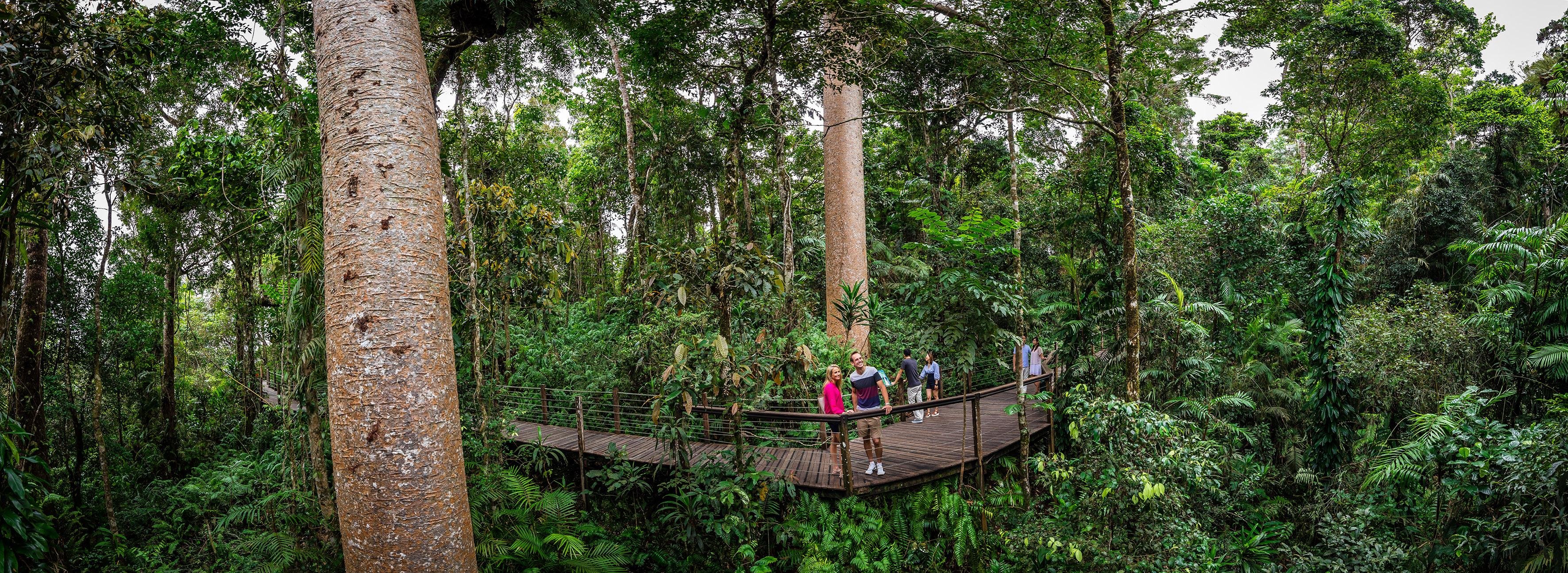 Cairns to Kuranda: Scenic Railway & Skyrail Rainforest Cableway Day Trip
