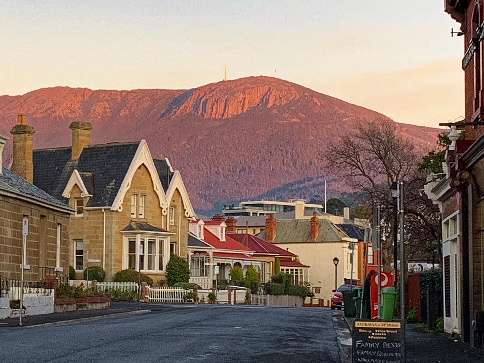 Private Hobart City & Mount Wellington Tour with Tea