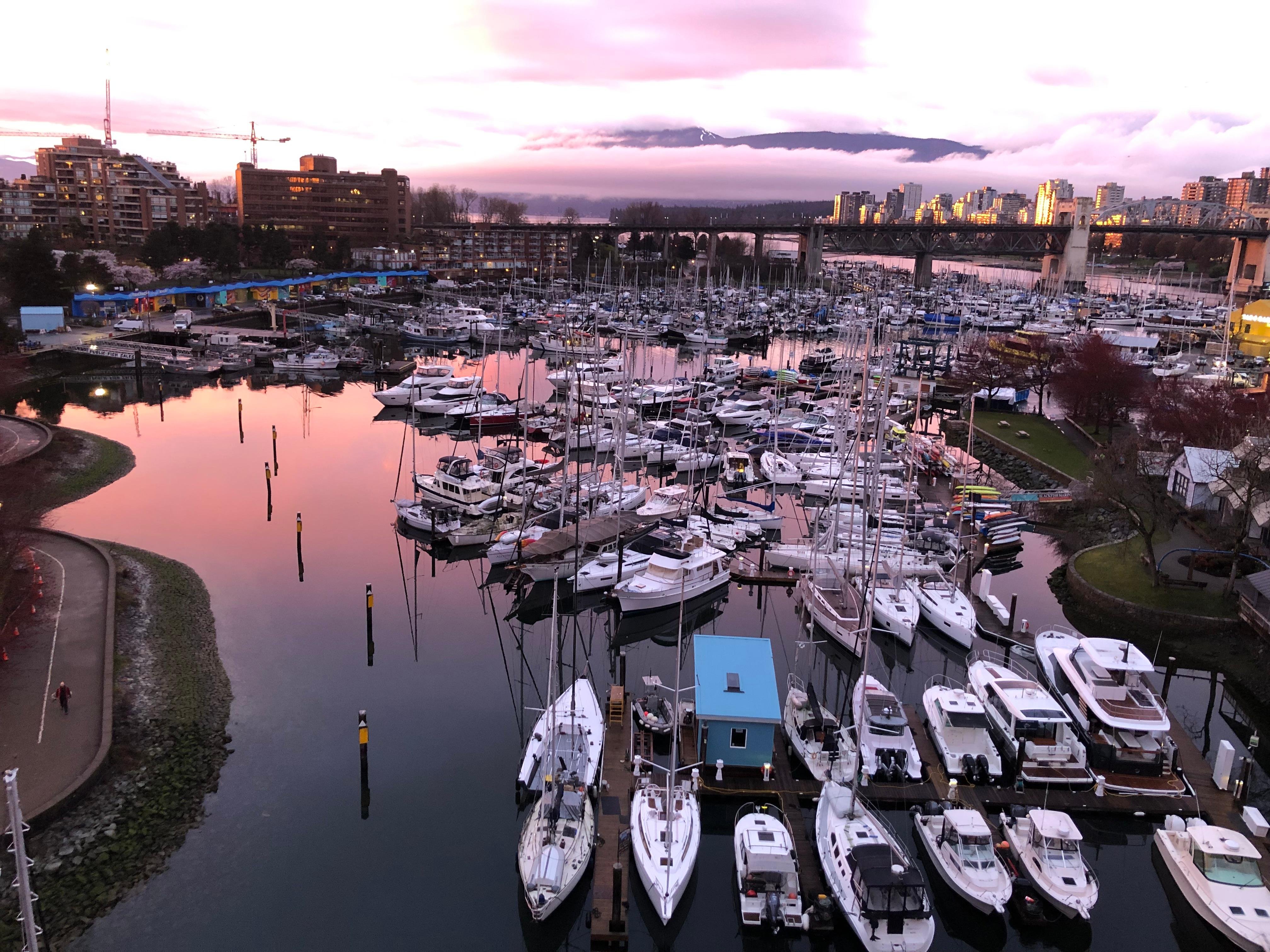 Vancouver Highlights: City Tour, Lookout & Capilano Bridge