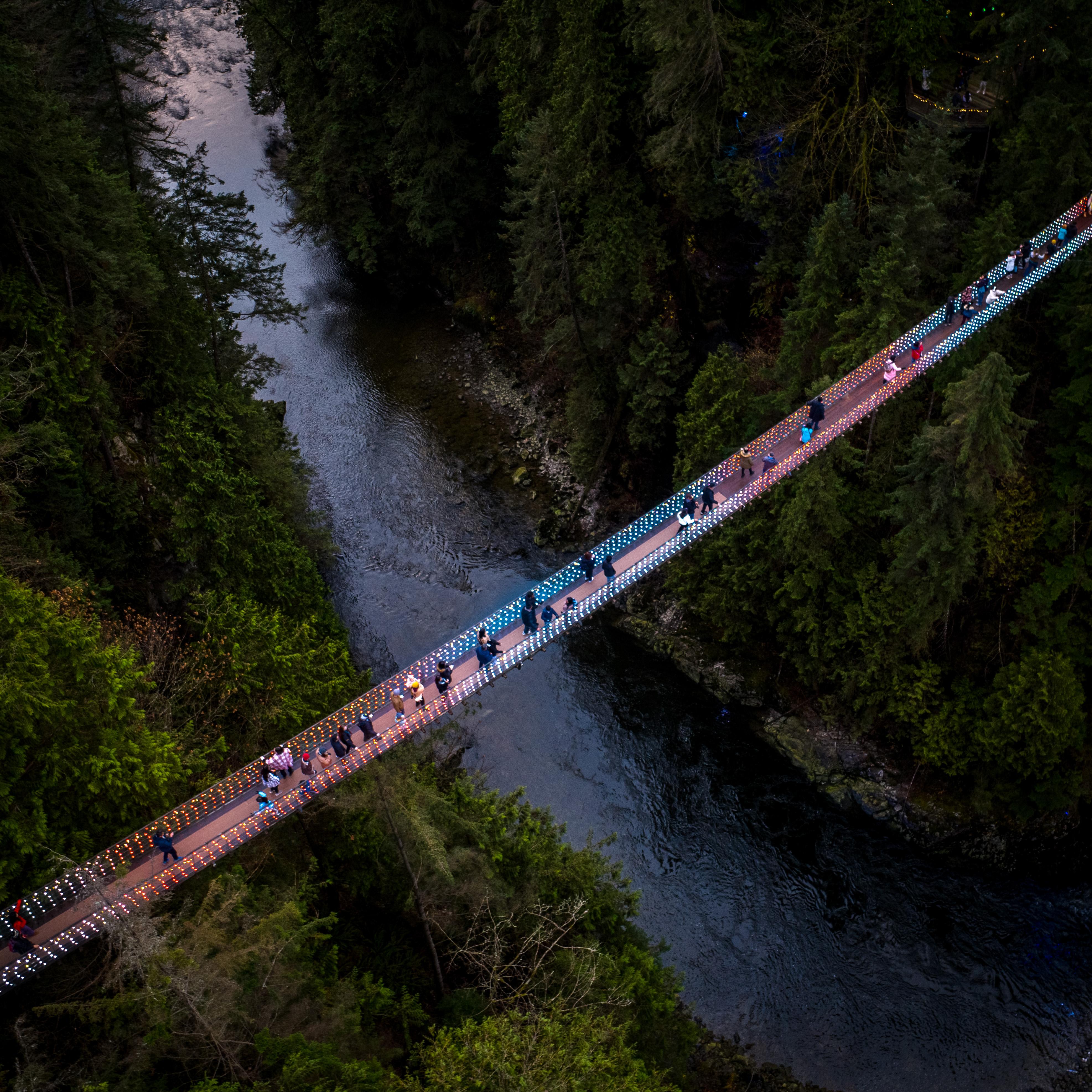 Vancouver North Shore & Capilano Canyon Lights Explorer