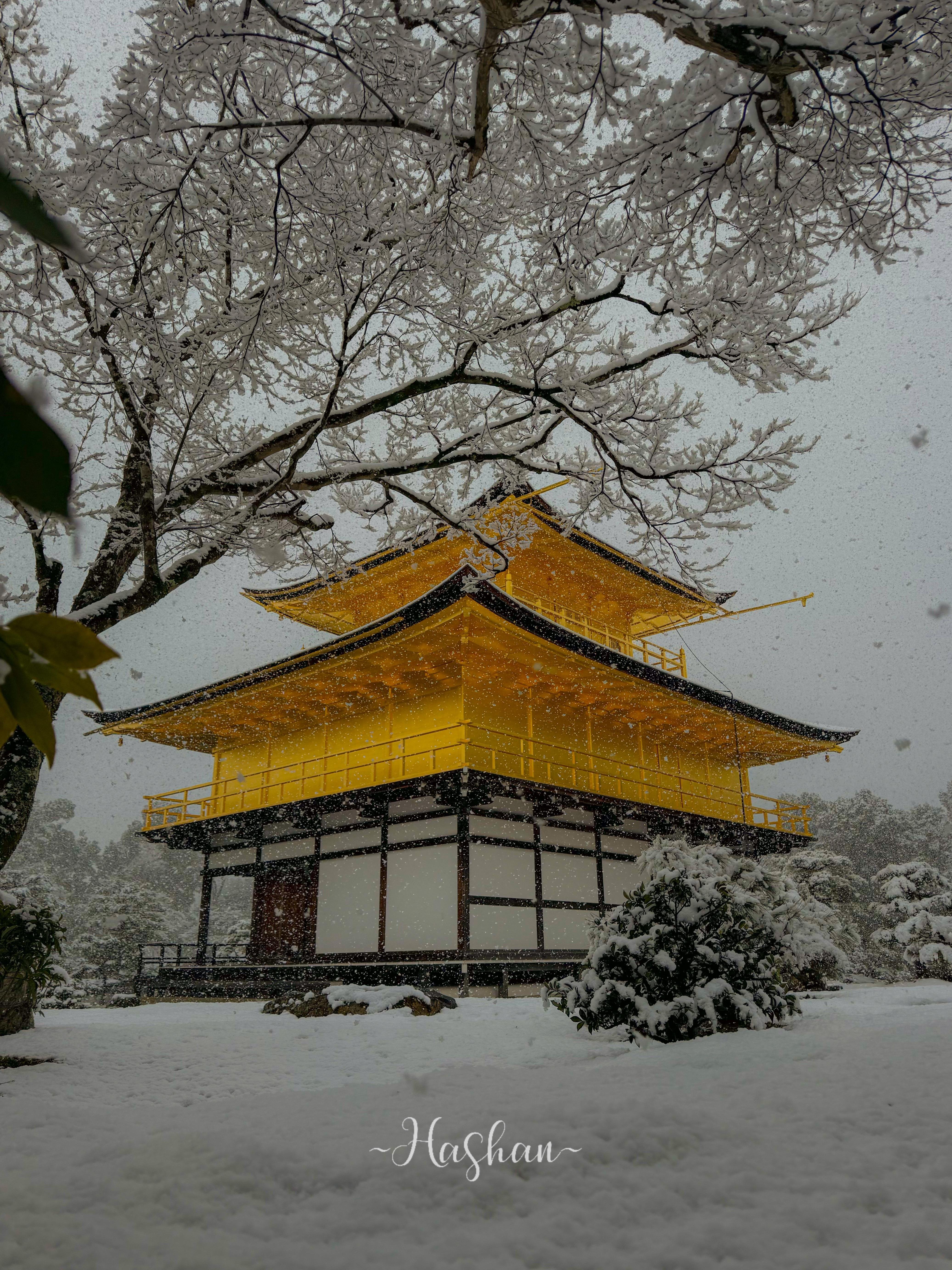 Kyoto Private Day Tour with Guide & Vehicle