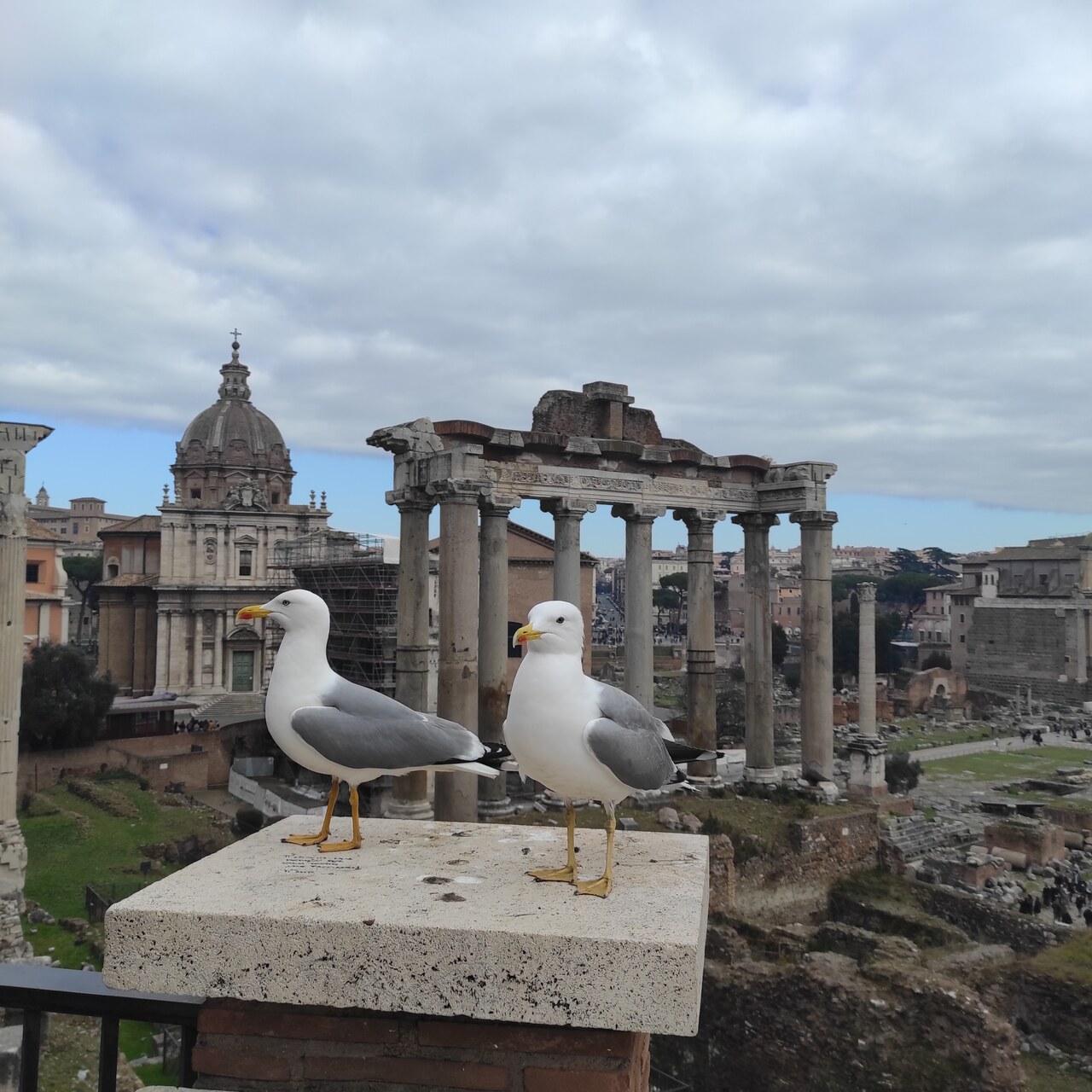 Private FCO Airport and Civitavecchia Port Transfer