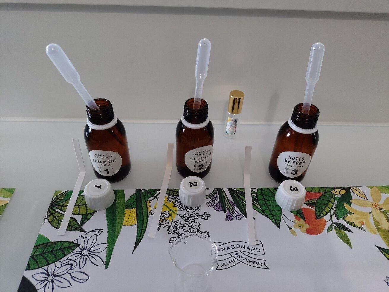 Fragonard Perfume Creation, Èze & Monaco Private Tour from Nice