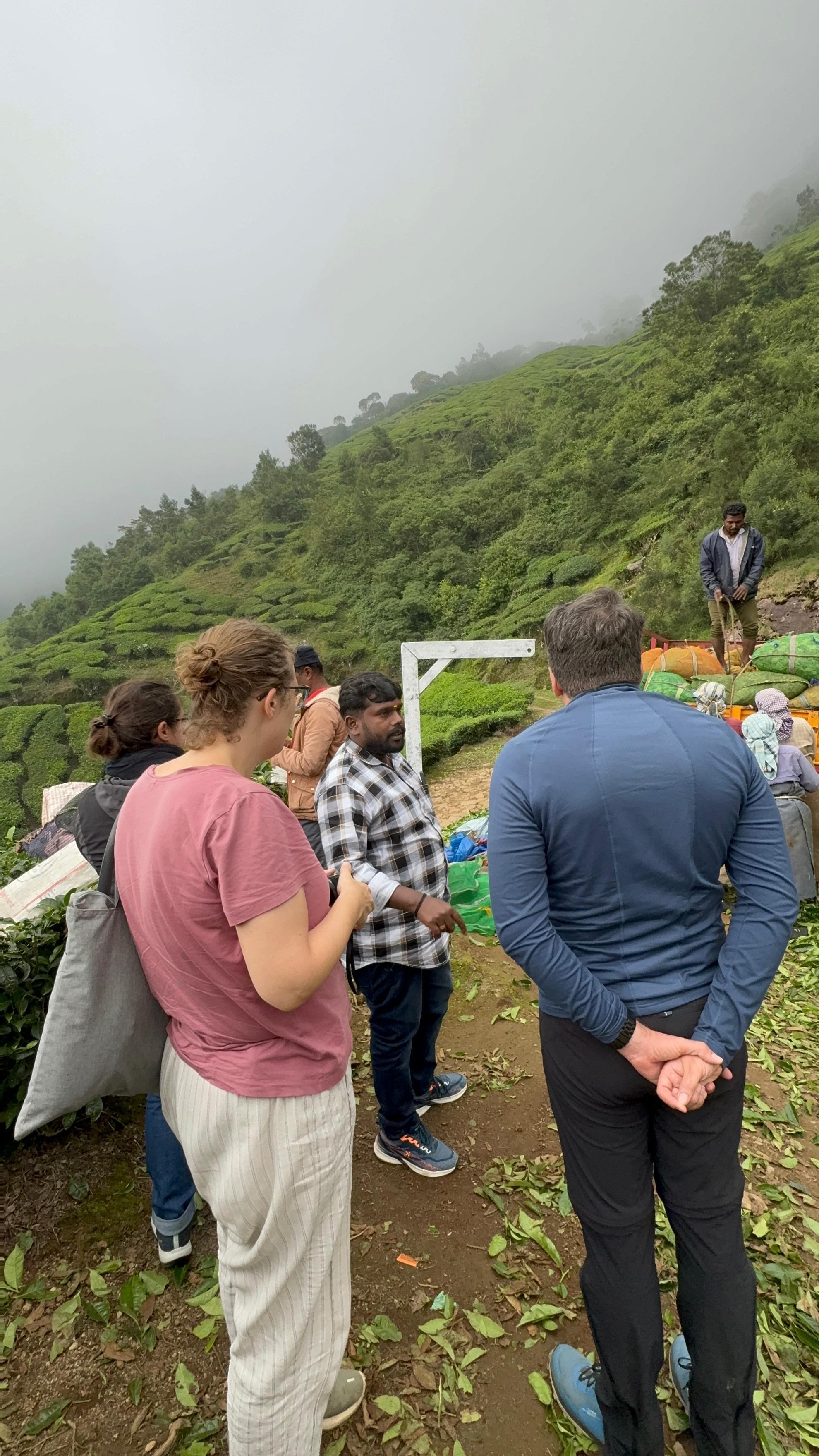 Munnar: Kolukkumalai High-Altitude Tea Estate Jeep Adventure