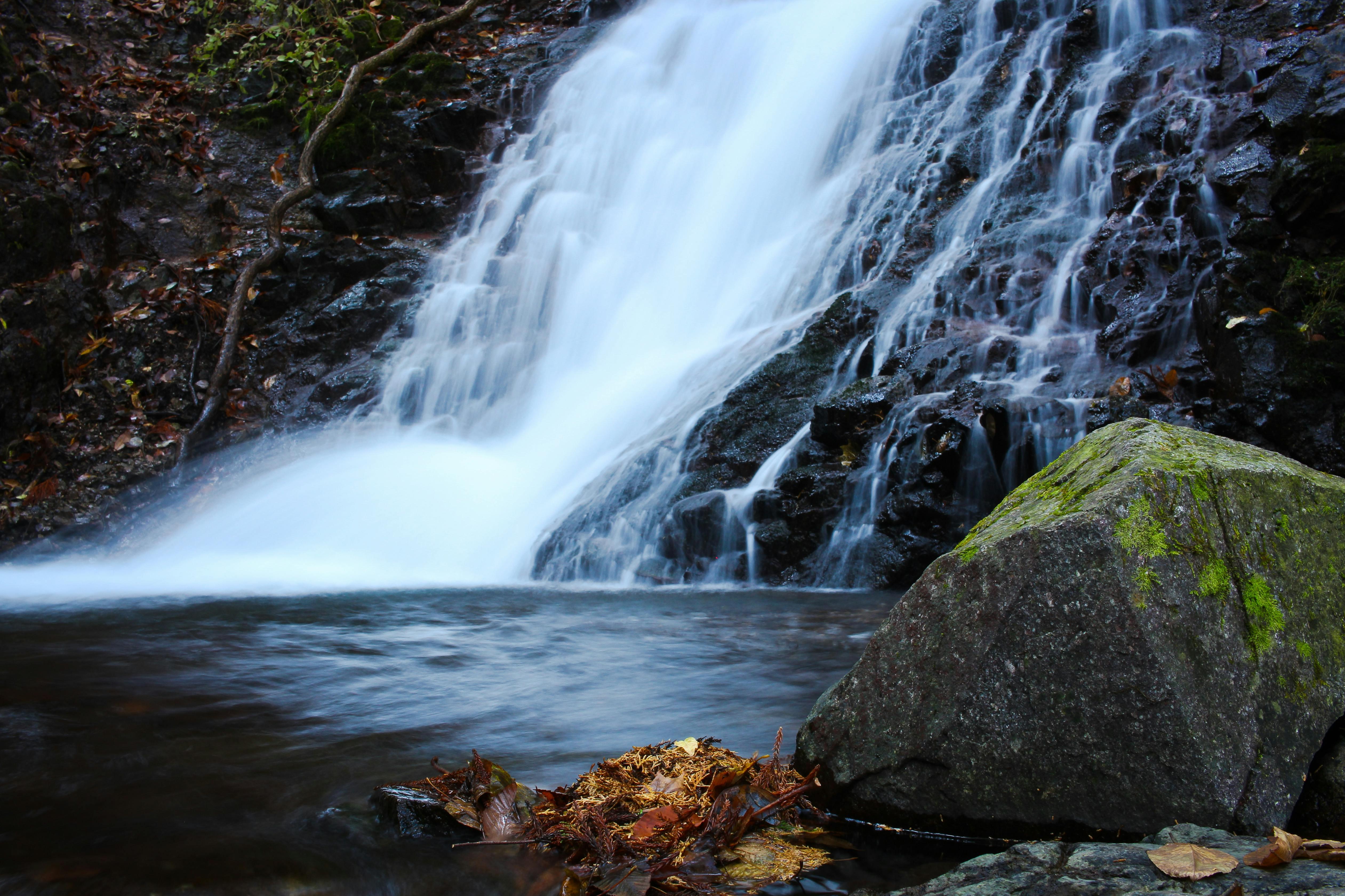 Private Full-Day Nikko Tour from Tokyo