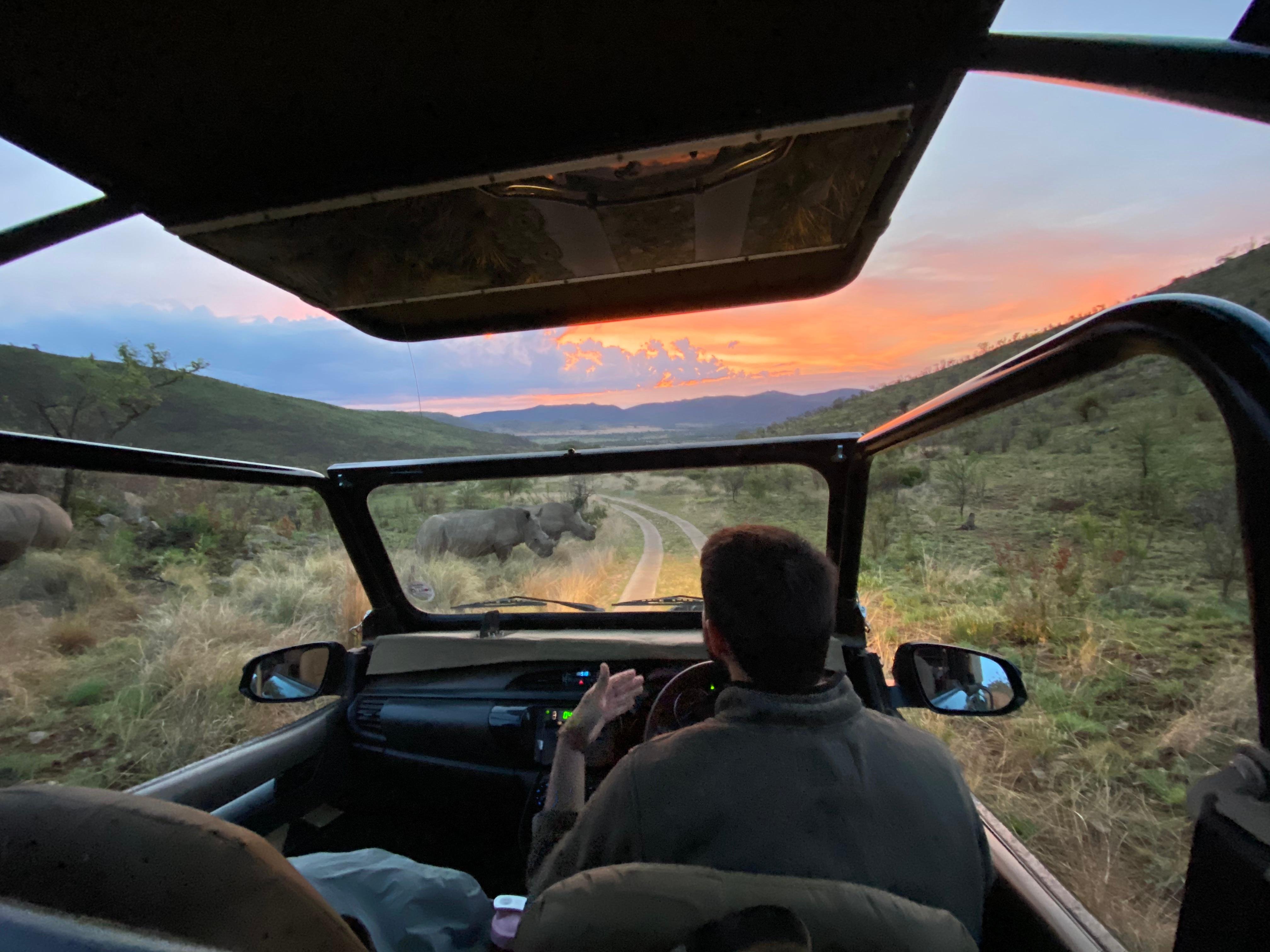 Pilanesberg Game Reserve Full-Day Safari from Johannesburg