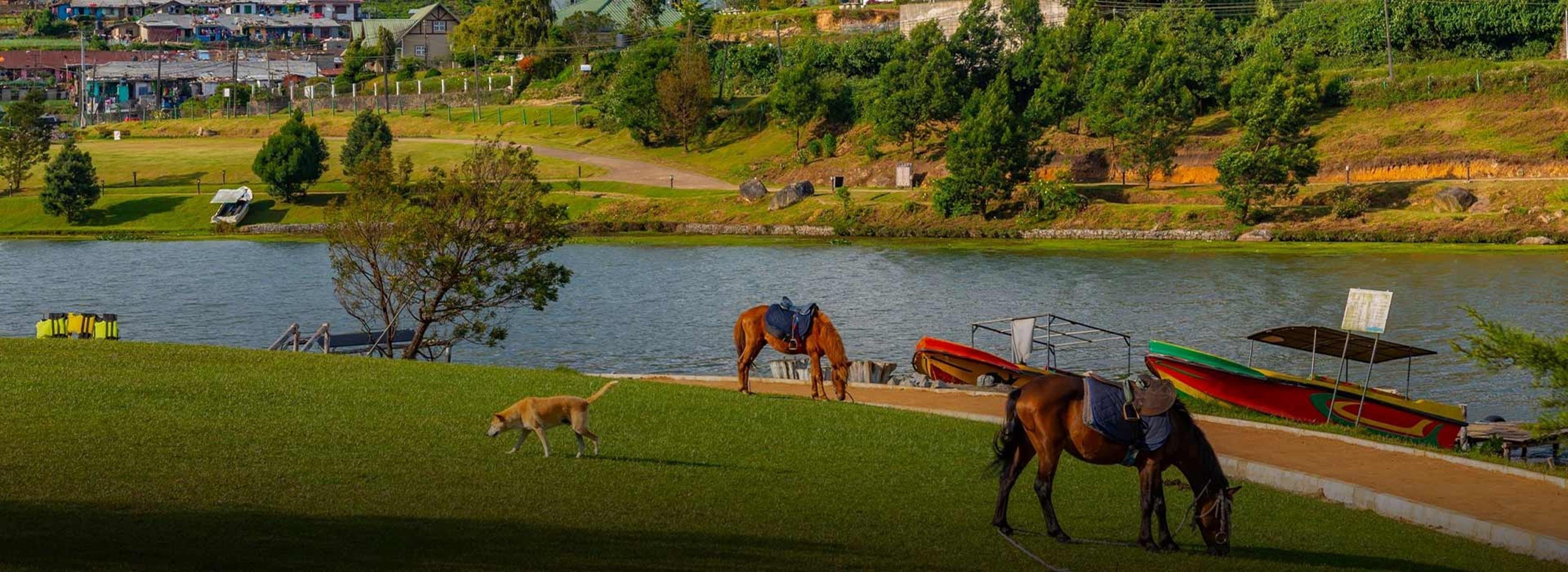 Sri Lanka Scenic Train Ride: Ella to Kandy via Nuwara Eliya