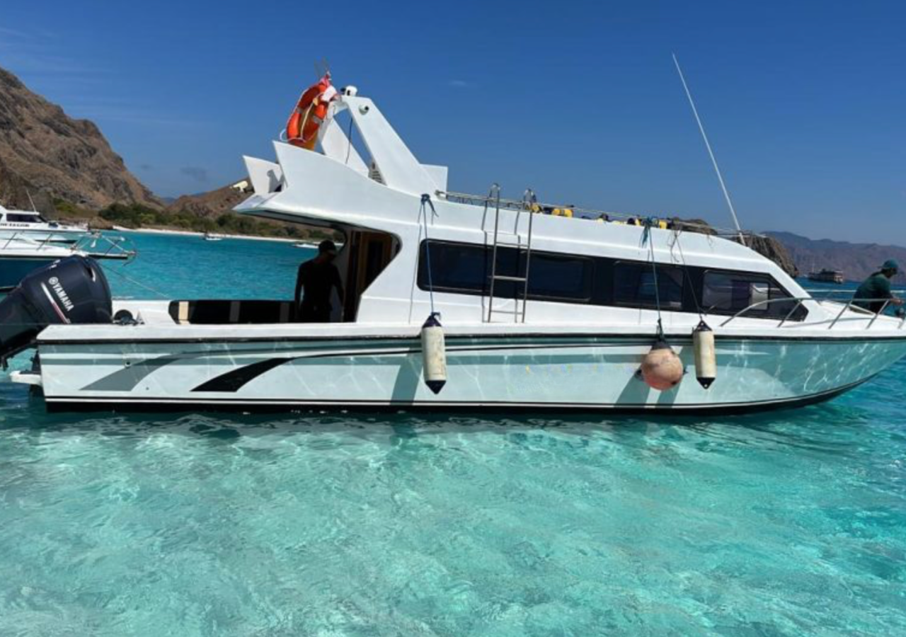 Komodo Island 3-Day Private Speedboat Adventure with Hotel