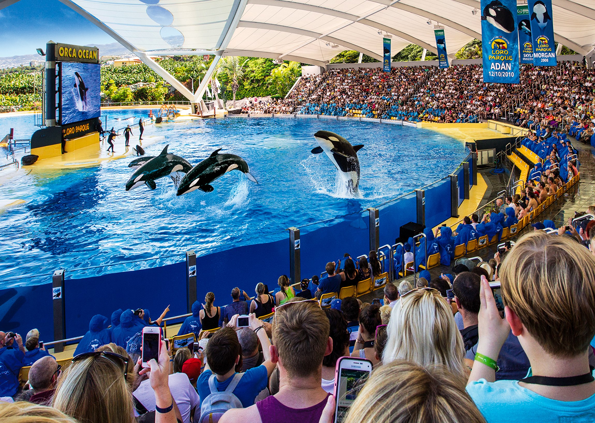 Loro Parque Tenerife Official Entry Ticket