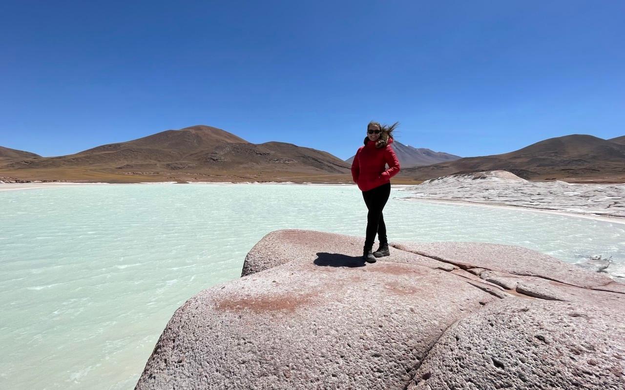 Piedras Rojas & Altiplano Lakes Full-Day Tour from San Pedro de Atacama
