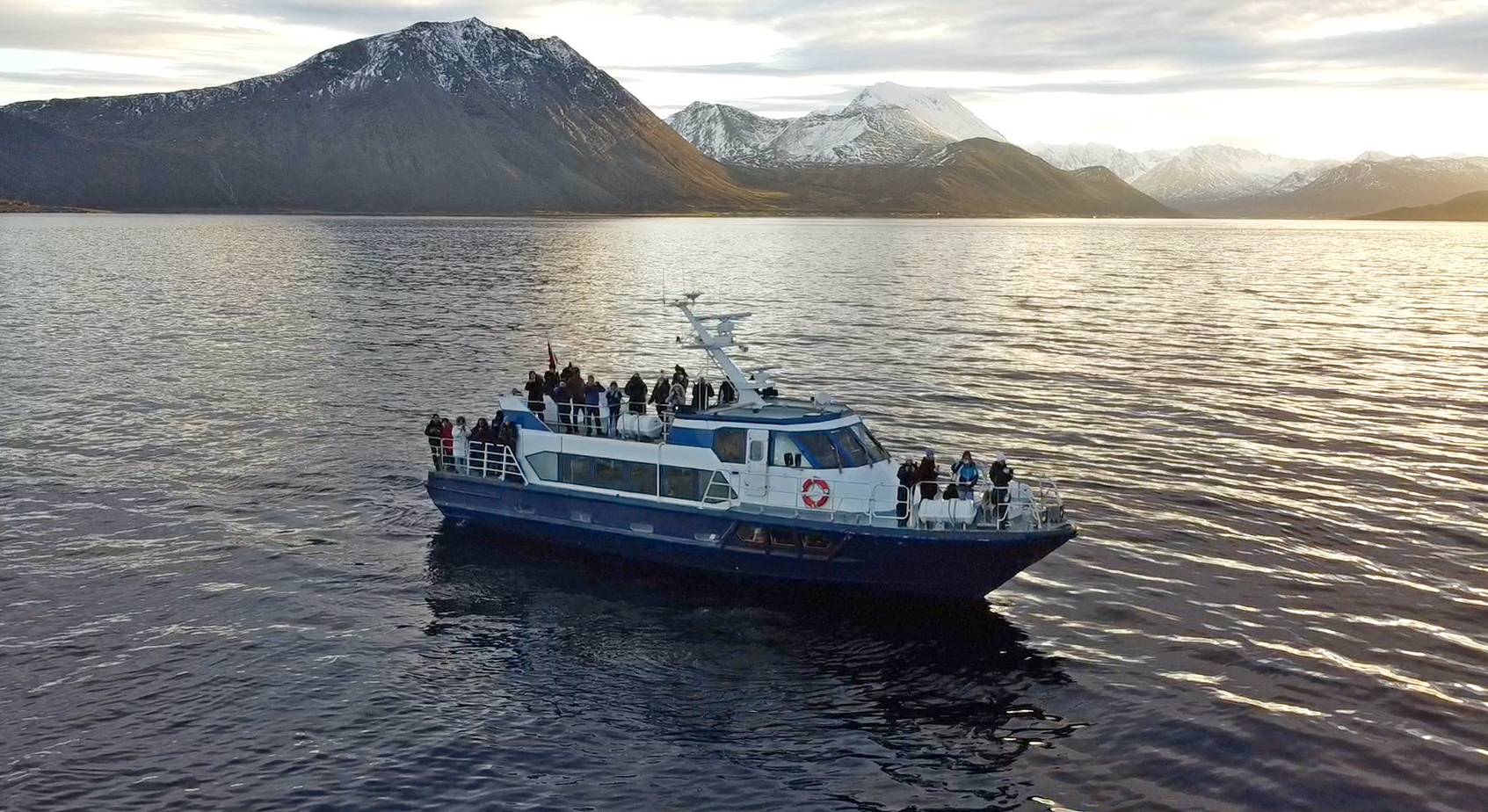 Tromsø All-Inclusive Whale & Orca Boat Safari