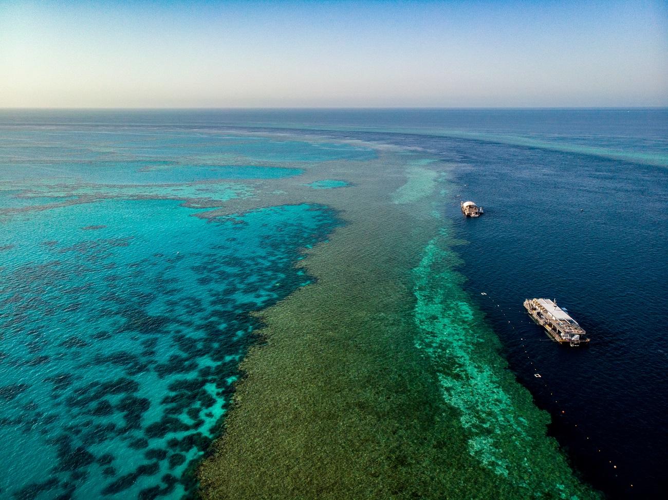 Great Barrier Reef Day Cruise from Airlie Beach