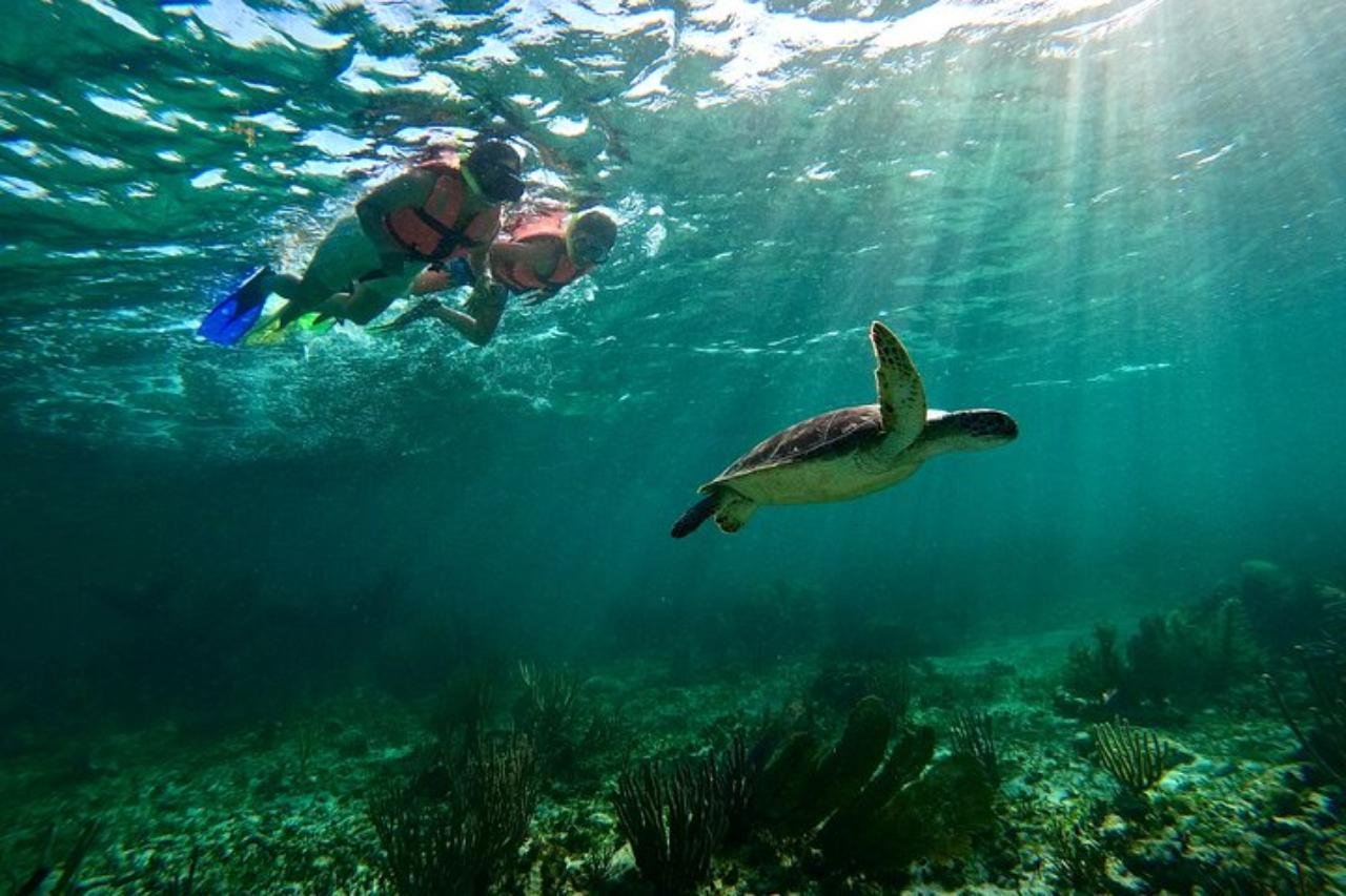 Puerto Morelos Reef Snorkeling Experience