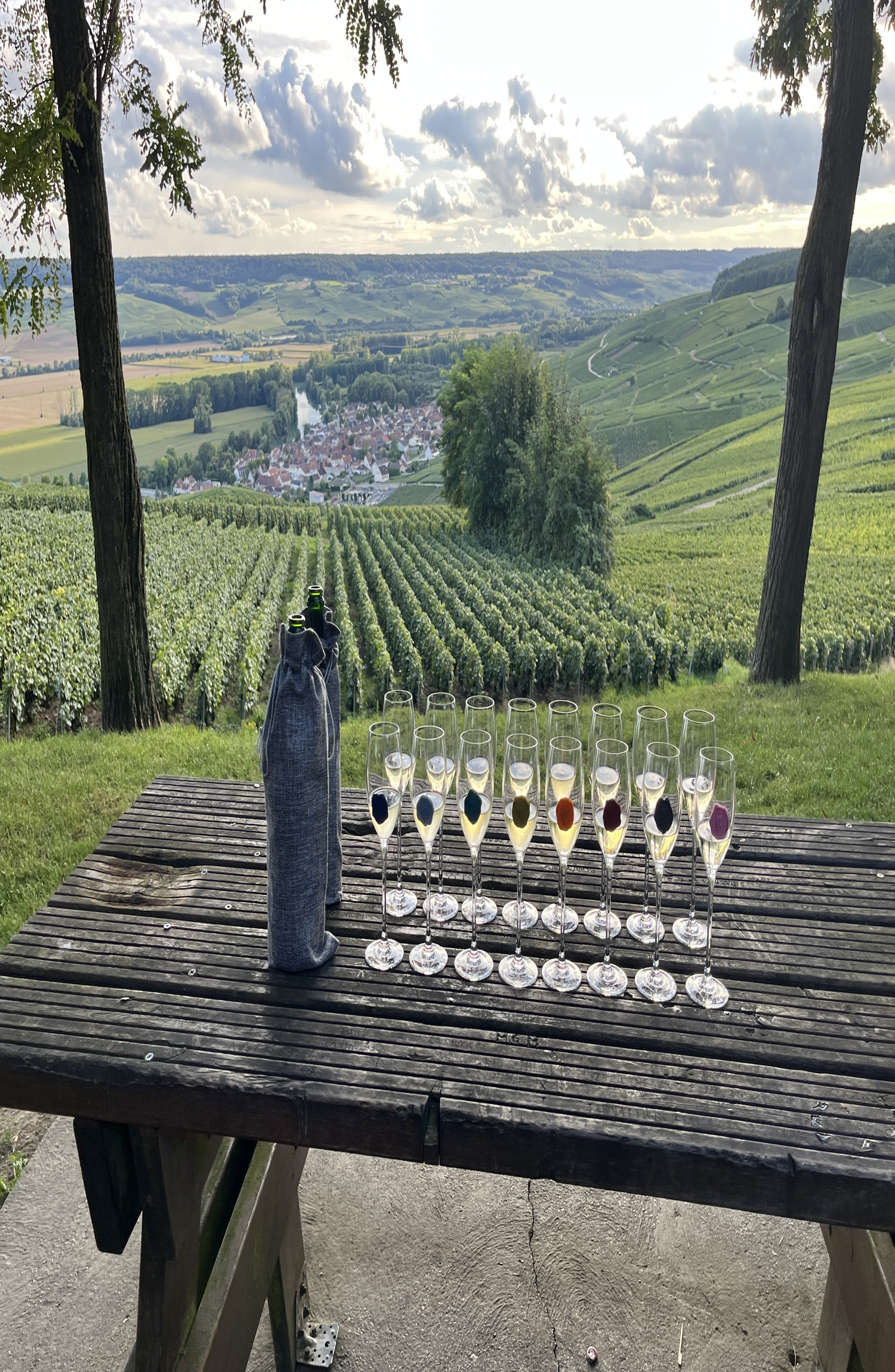 champagne tour in Reims — photo 9
