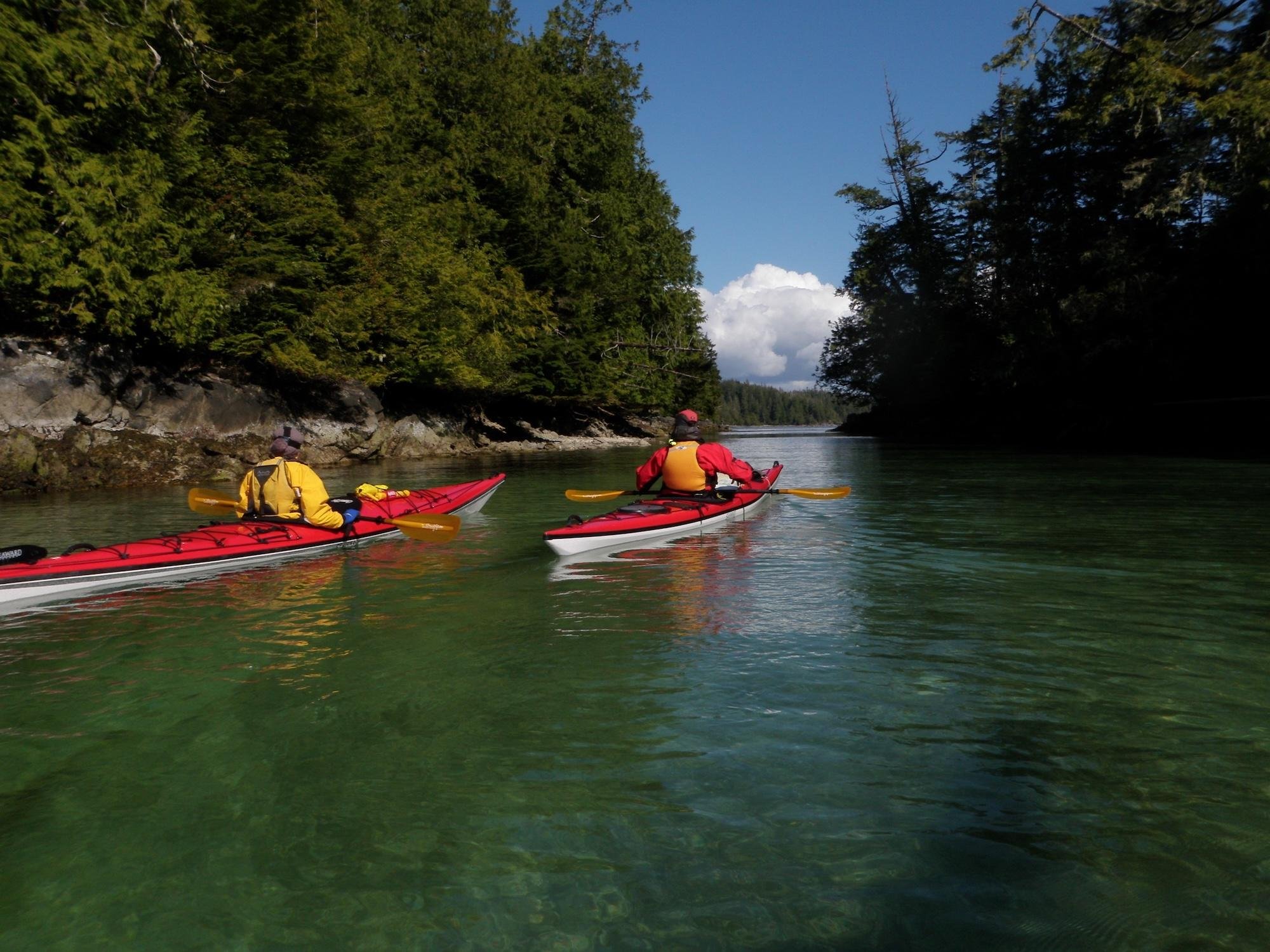 Cowichan Bay Estuary Kayak Tour