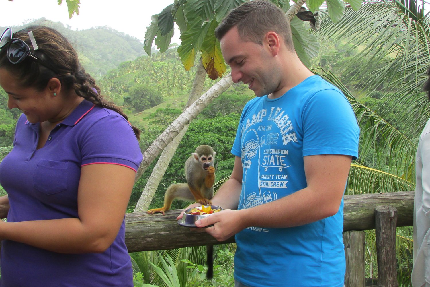Punta Cana Zipline Adventure & Monkeyland Experience