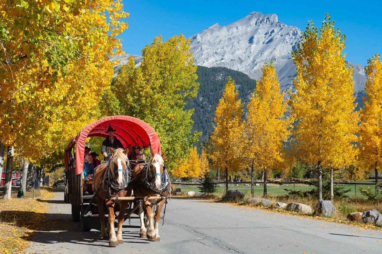 Banff: Wagon Ride with Cowboy Cookout BBQ - 2026 (Verified Reviews)