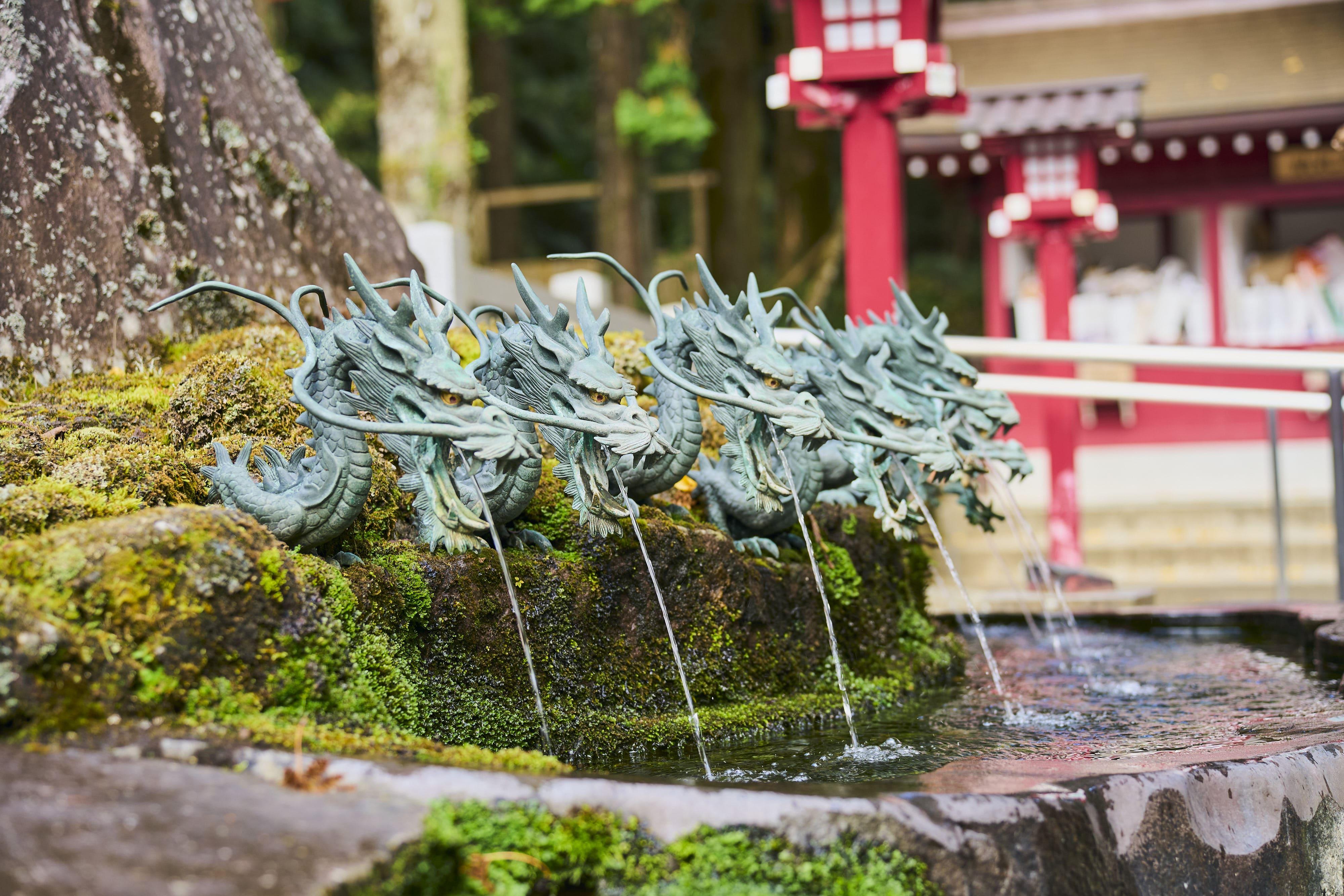 Mt. Fuji & Hakone Day Trip: Pirate Cruise, Ropeway & Shrine from Tokyo