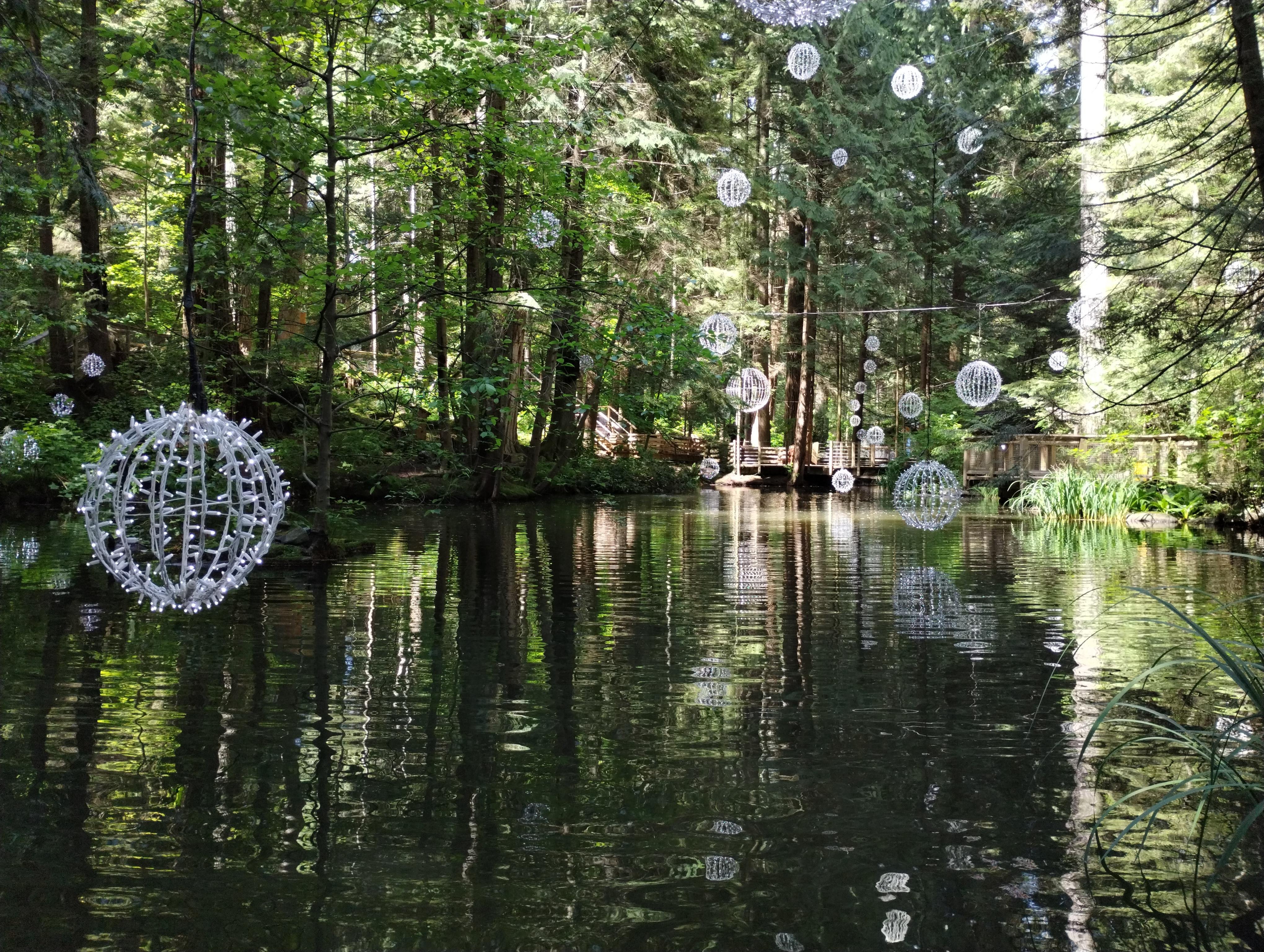 5-in-1 Vancouver Highlights: Grouse Mountain & Capilano Bridge Private Car Tour