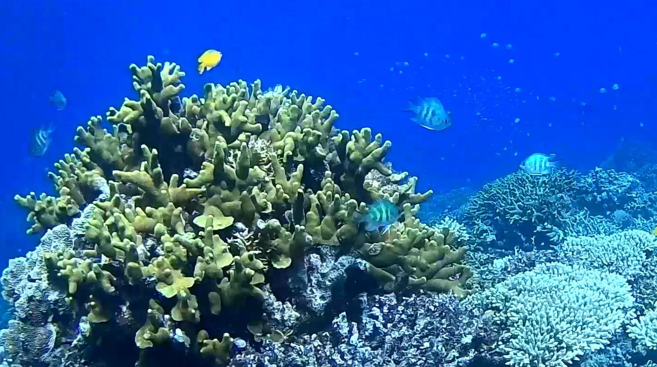 Sibaltan Private Snorkeling & Hidden Islands Boat Tour