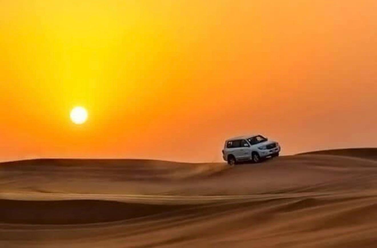 Doha Desert Safari: Sunset Dune Bashing, Camel Ride & Sandboarding