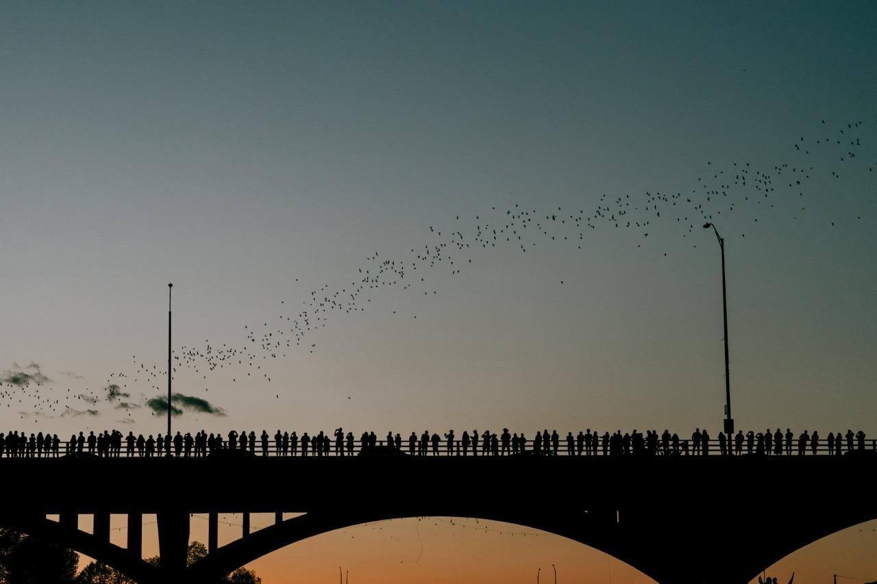 Austin Sunset Bat-Watching Kayak Experience