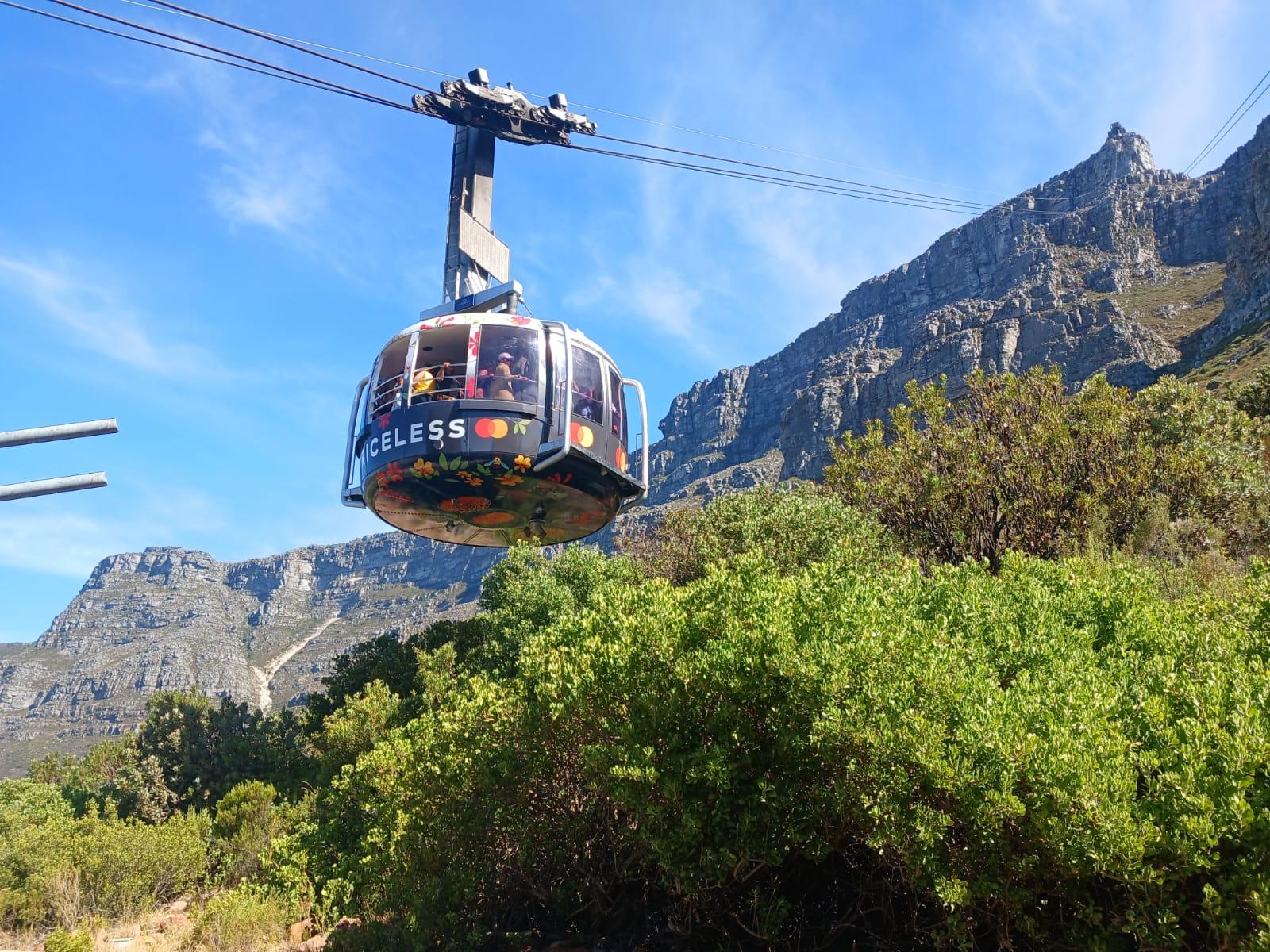 Cape Town Full-Day Tour: Table Mountain, Cape Point & Penguins