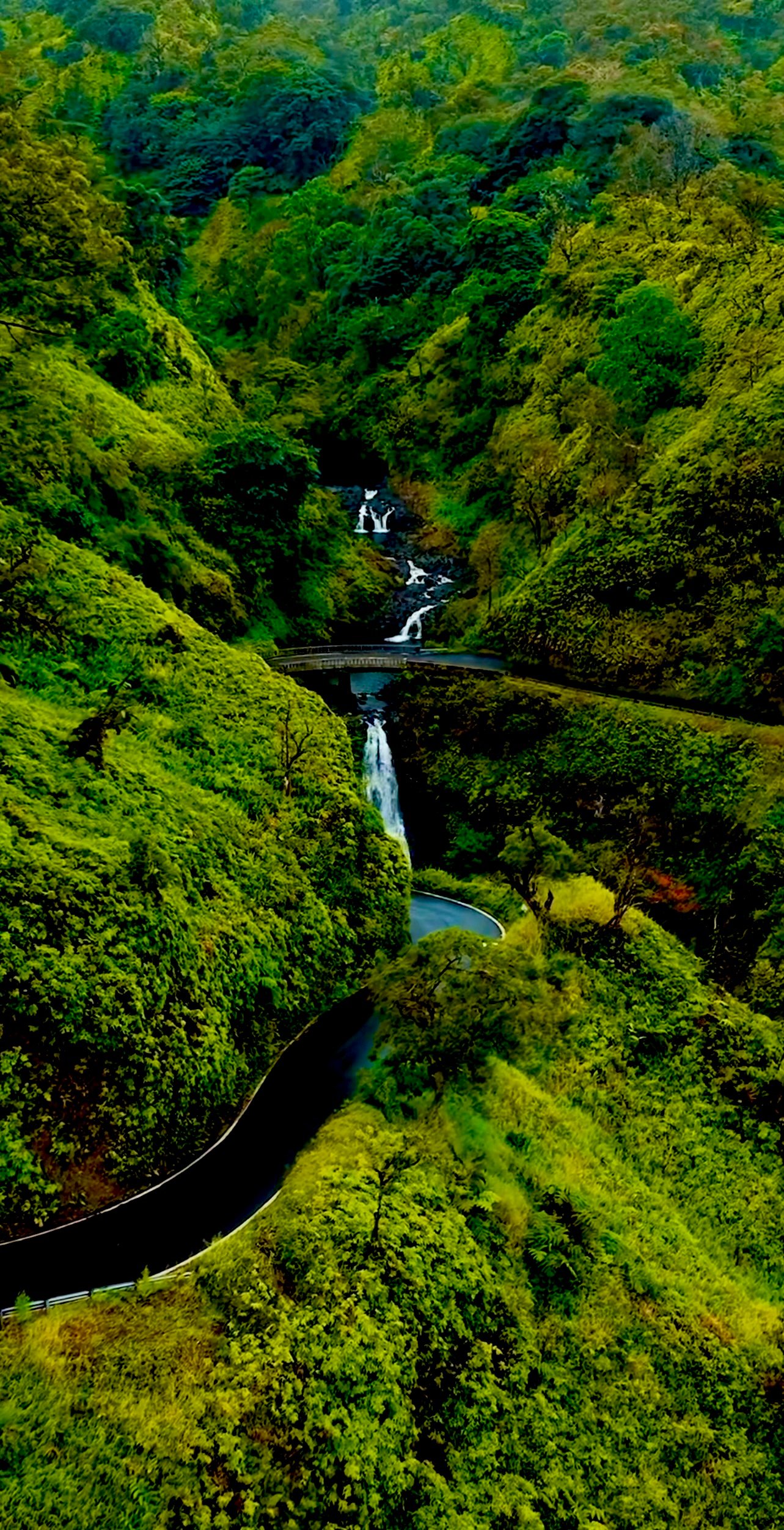 Maui: Small-Group Road to Hāna Sightseeing Tour - 2026 (Verified Reviews)