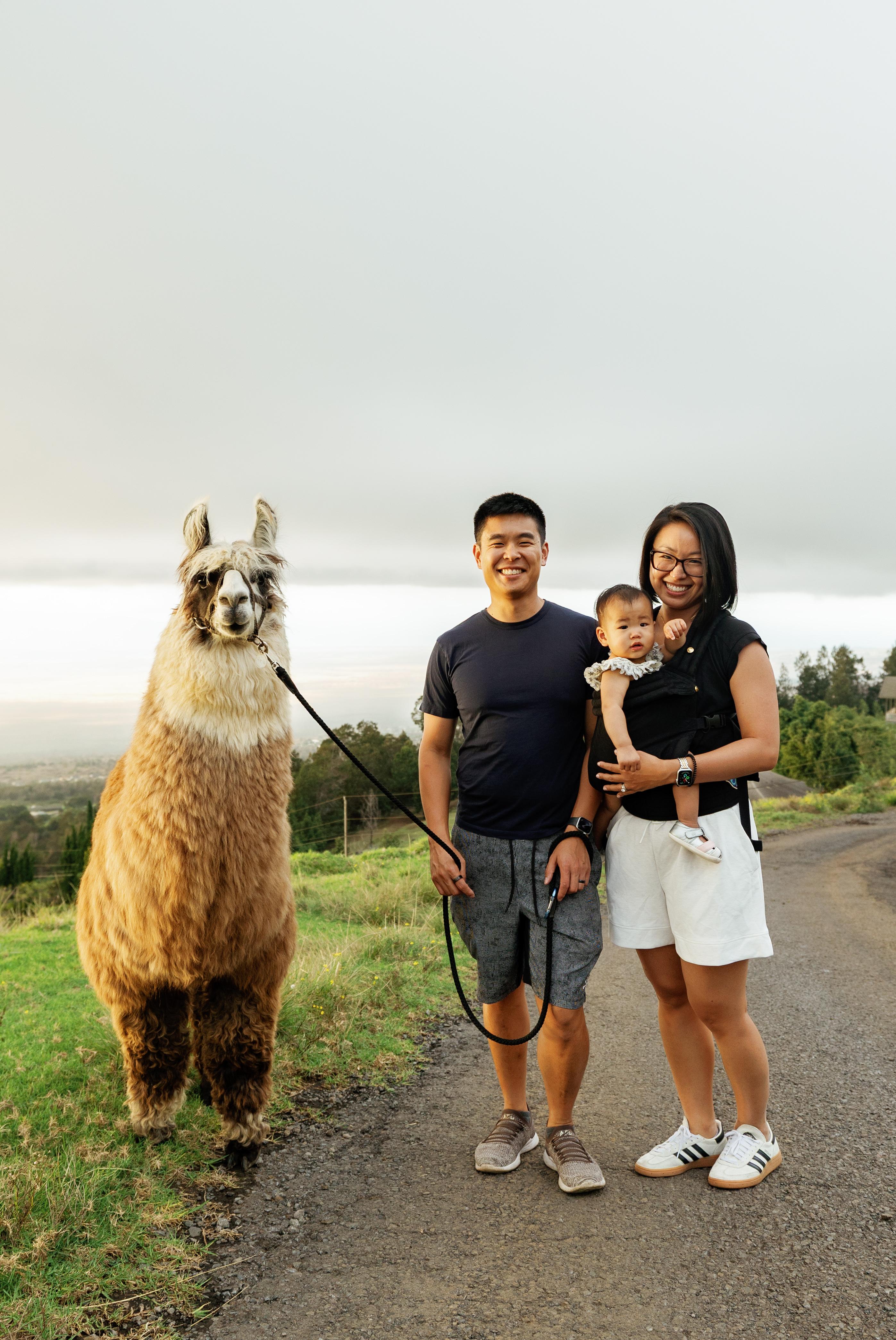 Maui: Sunset Llama Trek on Haleakala