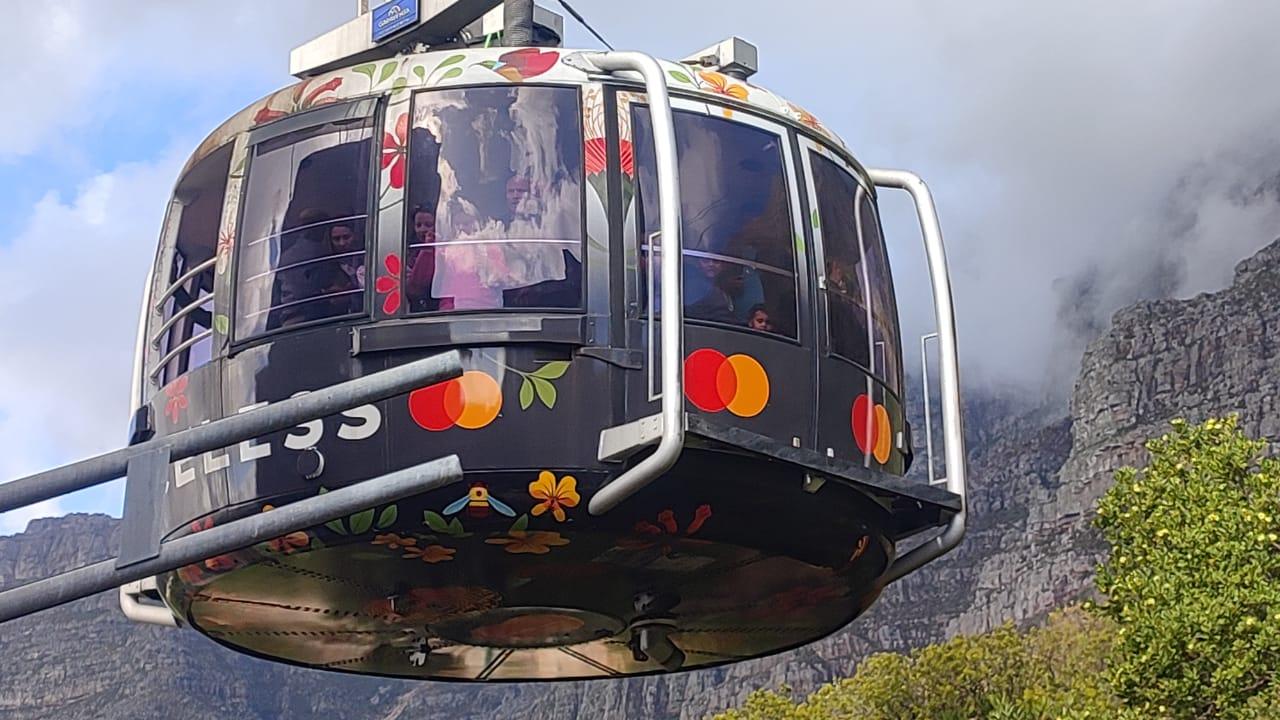 Cape Town Full-Day Tour: Table Mountain, Cape Point & Penguins