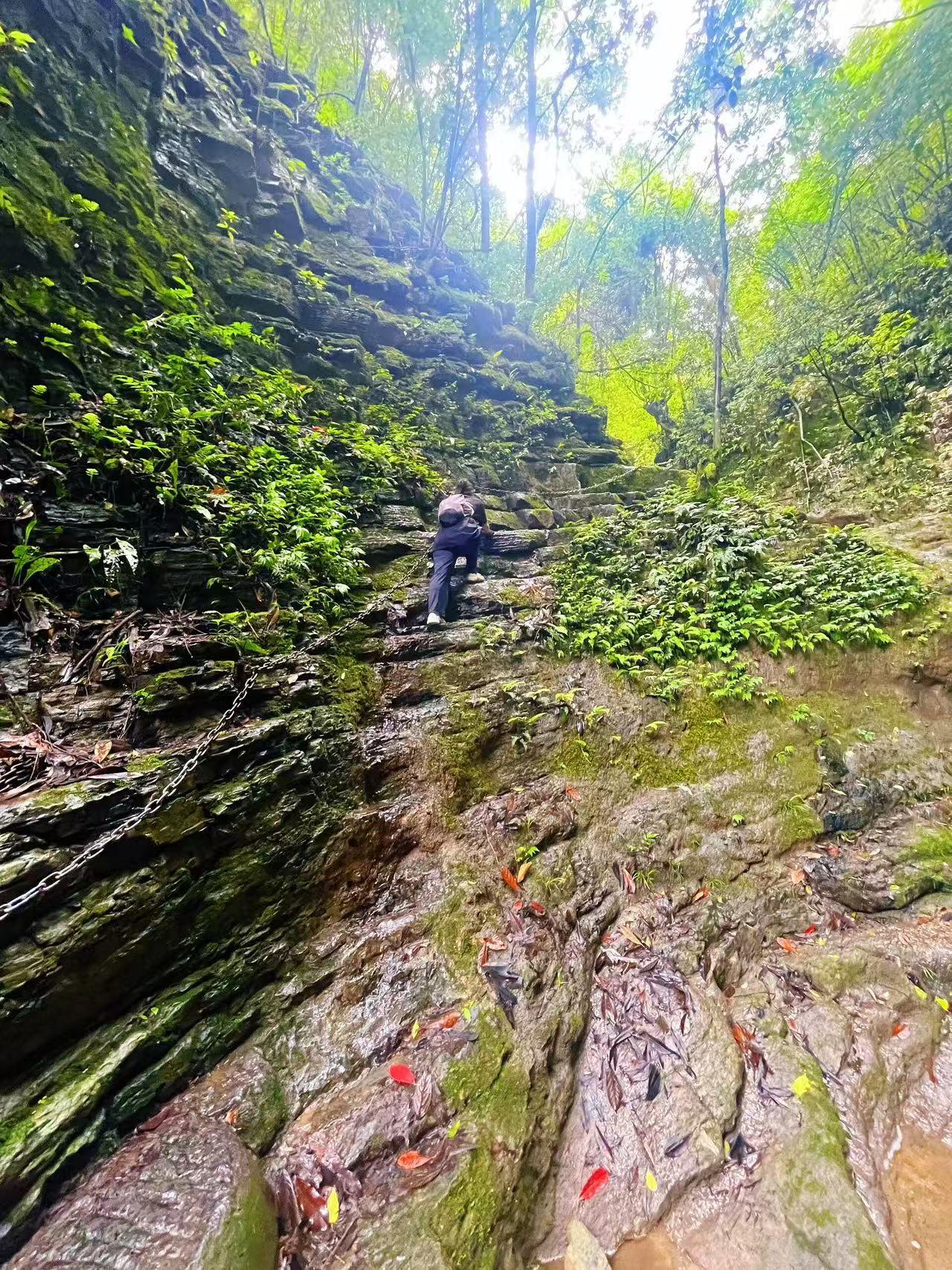 Zhangjiajie 3-Day Private Hiking Tour with Guide & Hotel