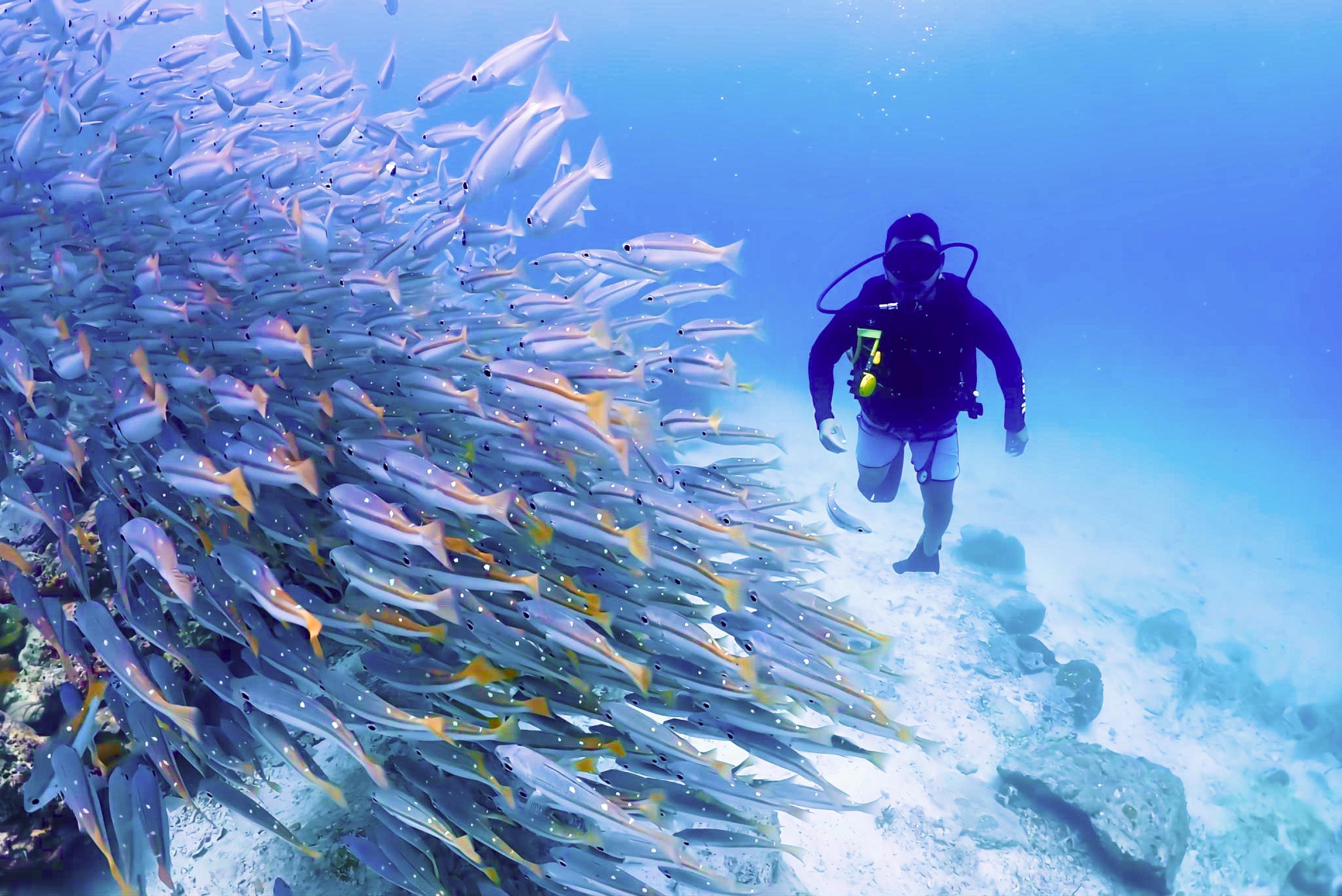 Phuket: Racha & Maiton Islands Scuba Diving for All Levels