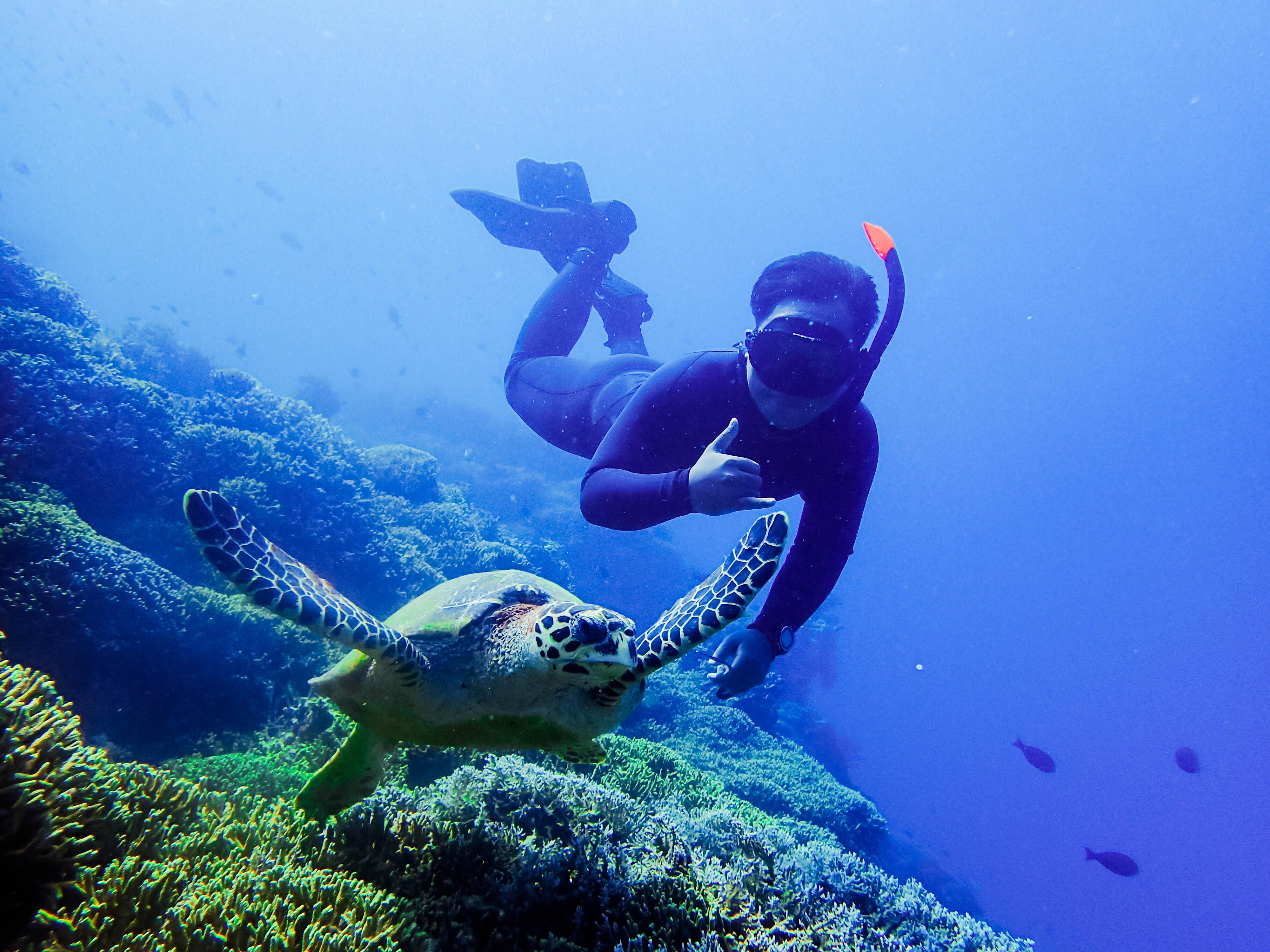 Menjangan Island Snorkeling Experience with Lunch