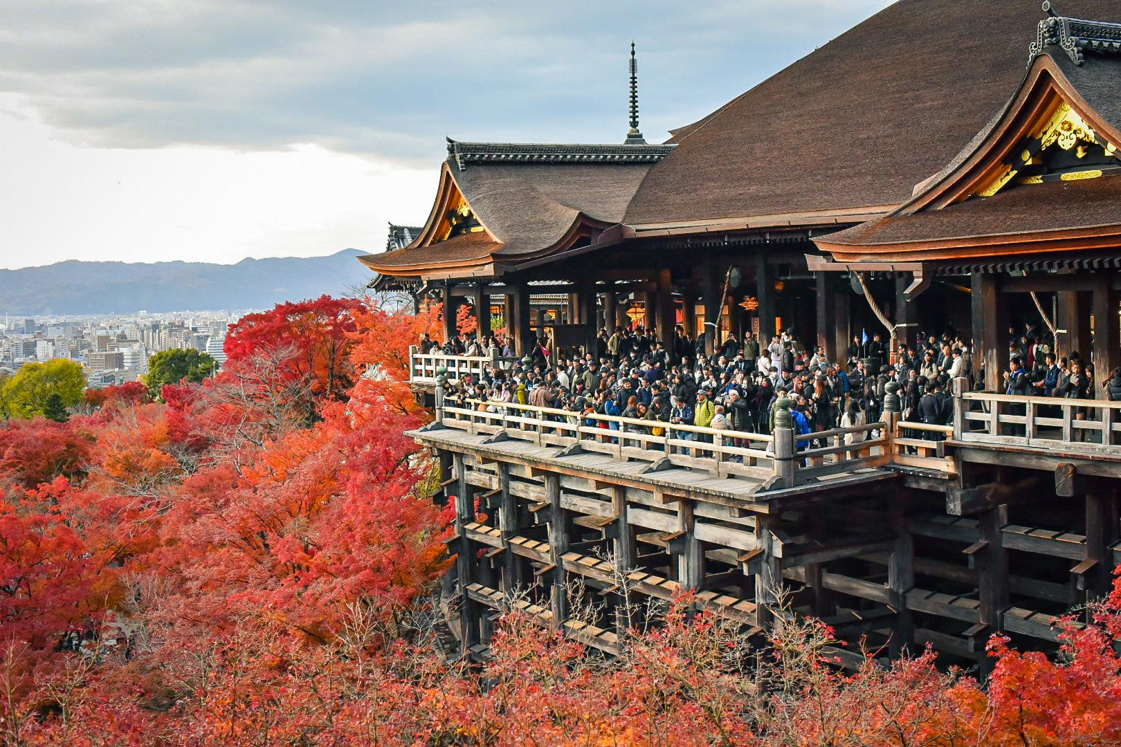 Kyoto Private Day Tour with Guide & Vehicle