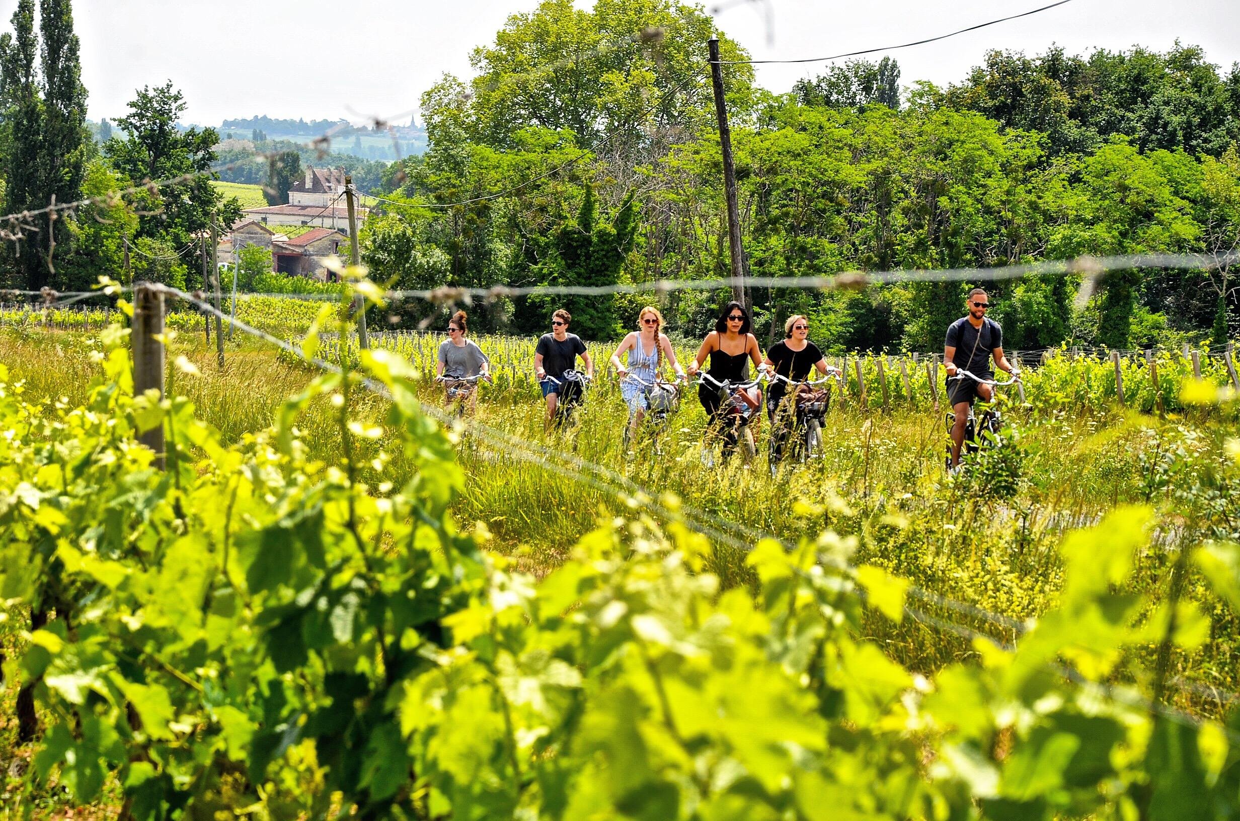 Half-Day E-Bike Journey Through Saint-Émilion Vineyards