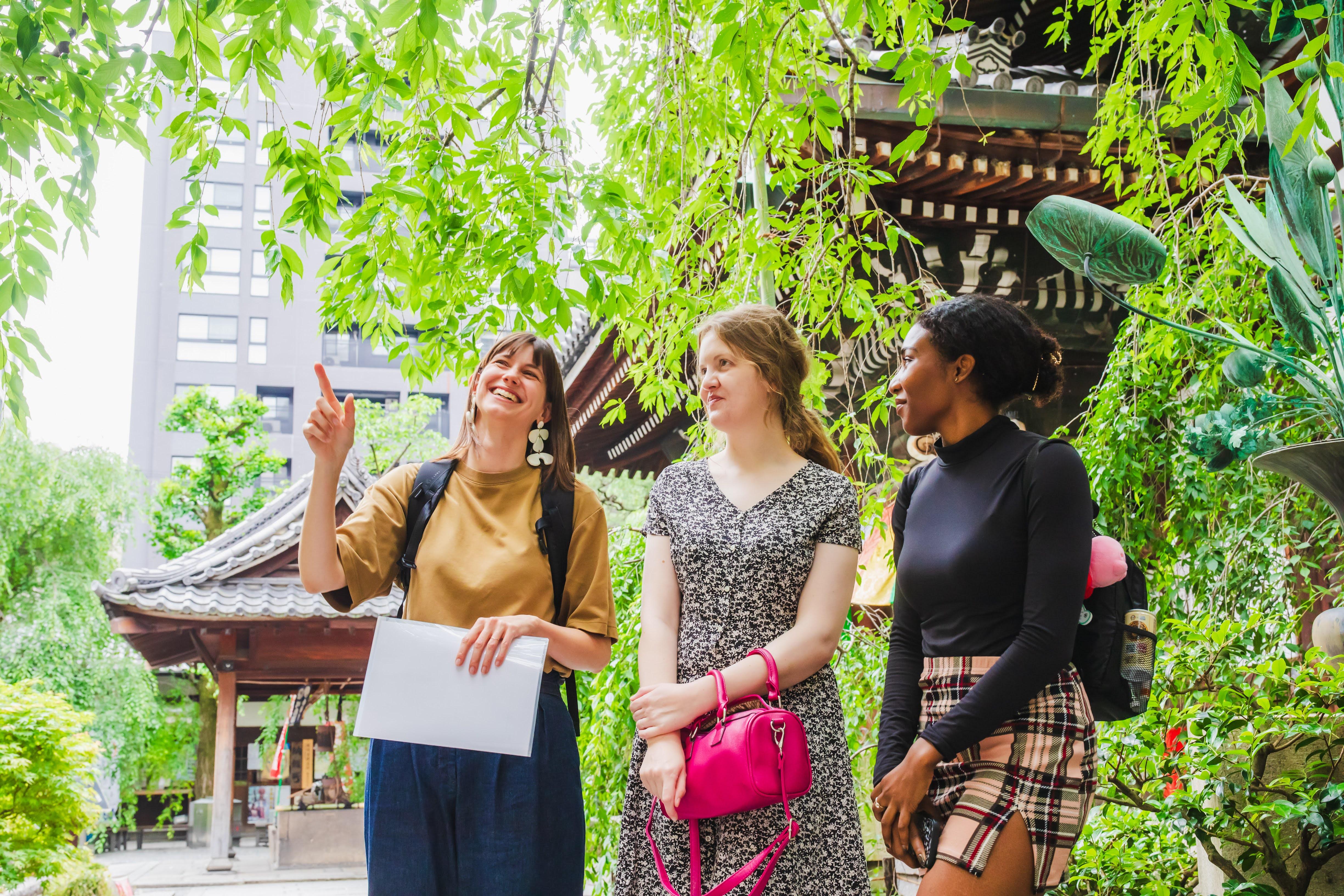 Kyoto Full-Day Highlights Tour: Temples and Historic Districts