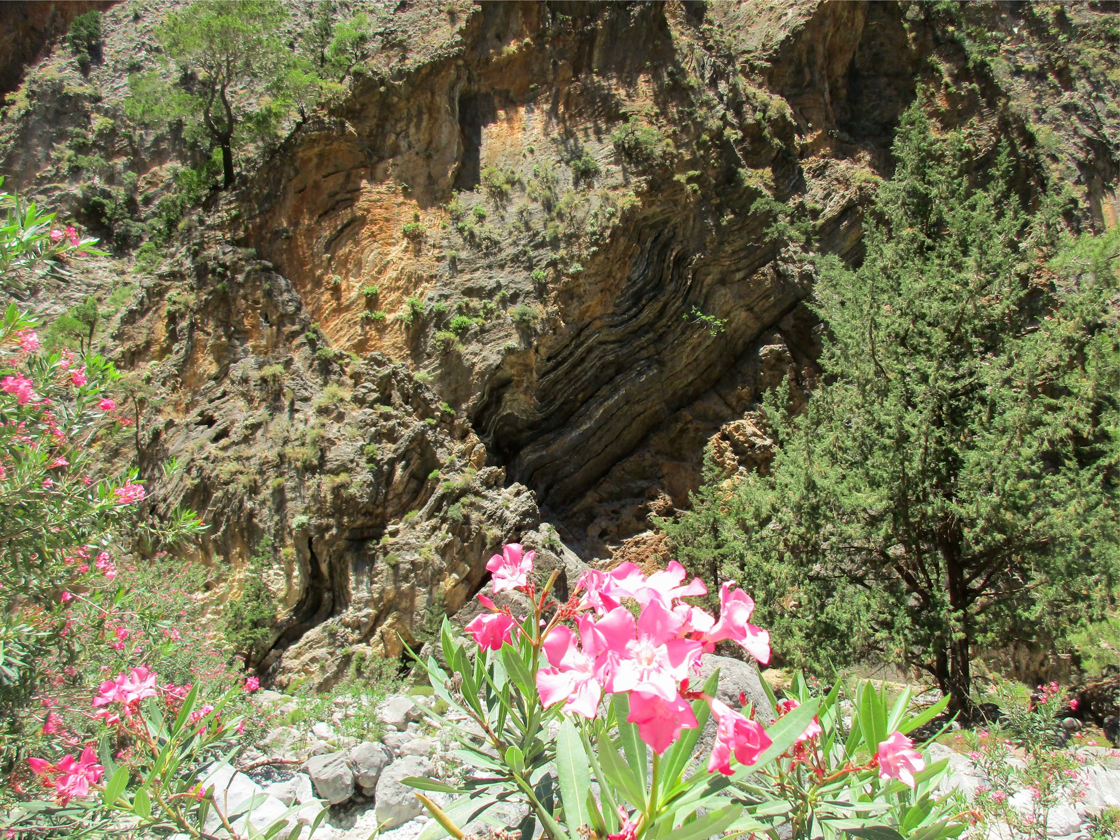 Samaria Gorge hike Crete — Xyloskalo descent, Iron Gates Sideroportes, kri-kri ibex, Agia Roumeli Libyan Sea — image 45