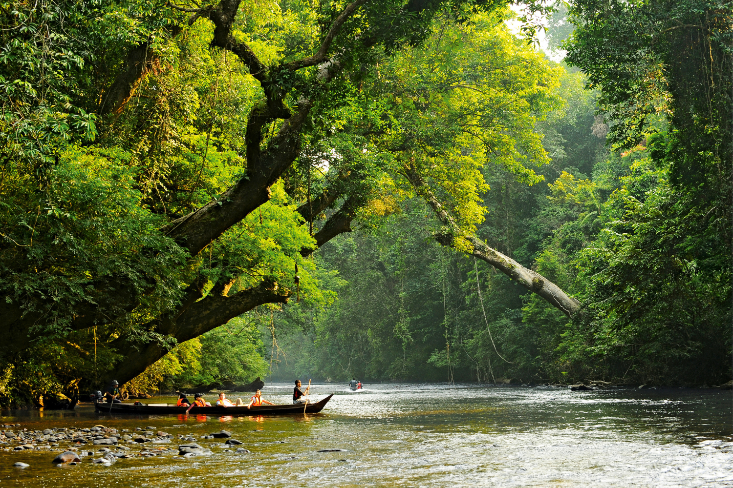 Taman Negara Rainforest Adventure