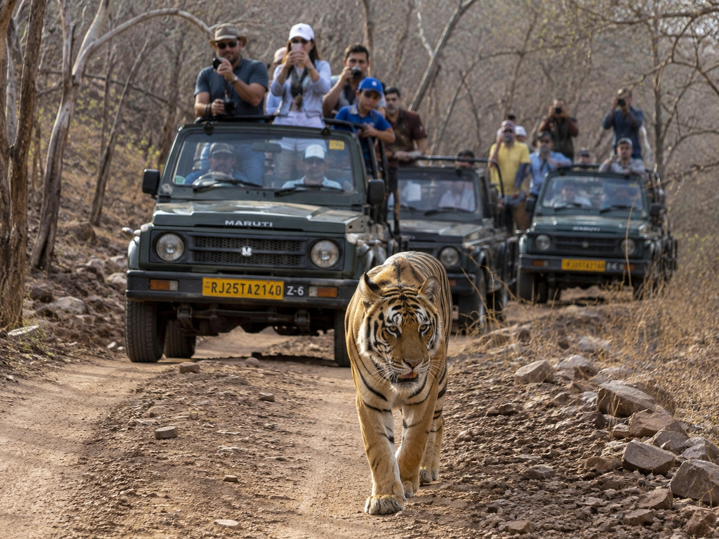Triángulo de Oro de 4 días y safari de tigres en Ranthambore desde Delhi