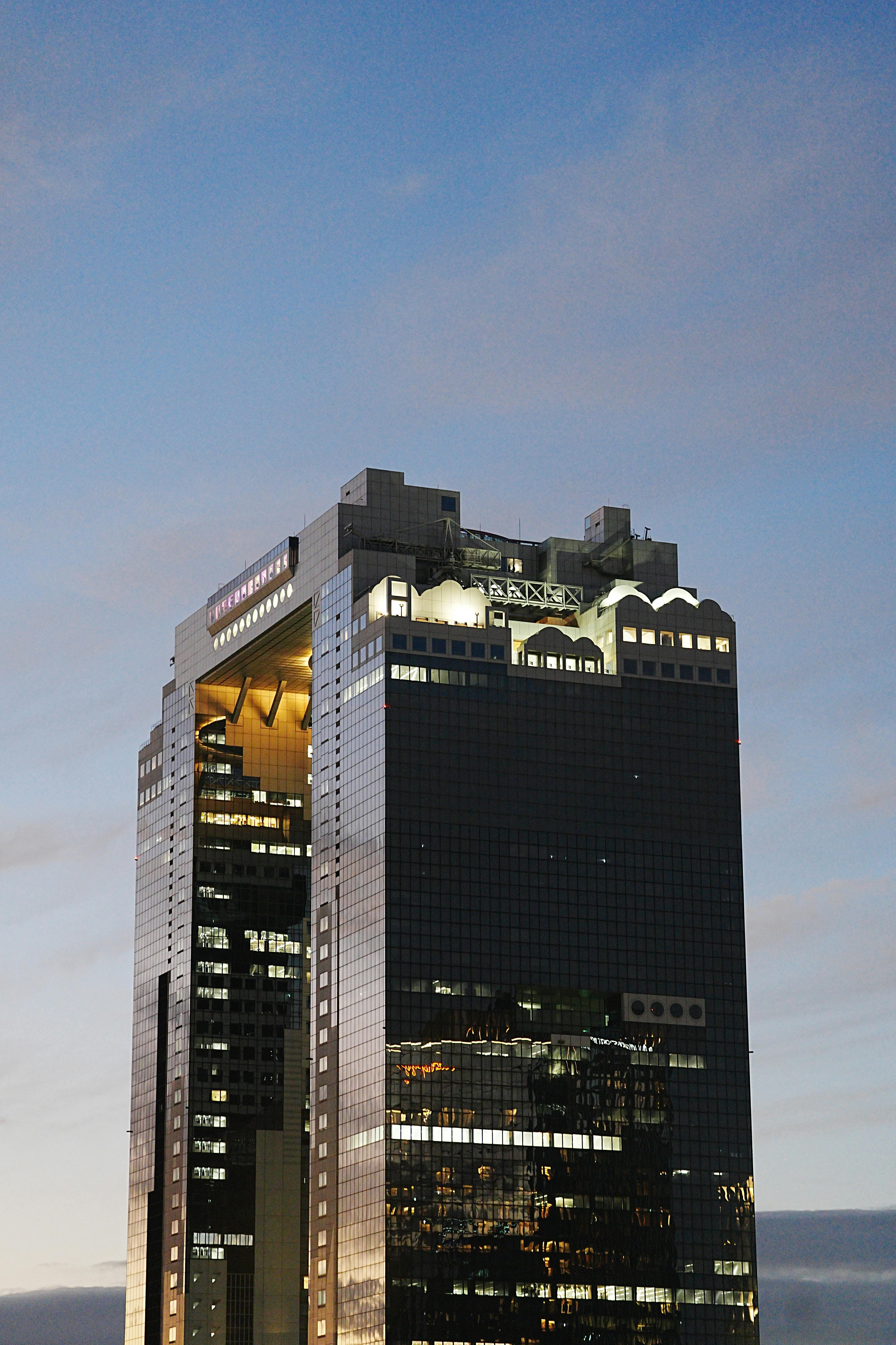 Osaka Custom Private Tour by Luxury Vehicle