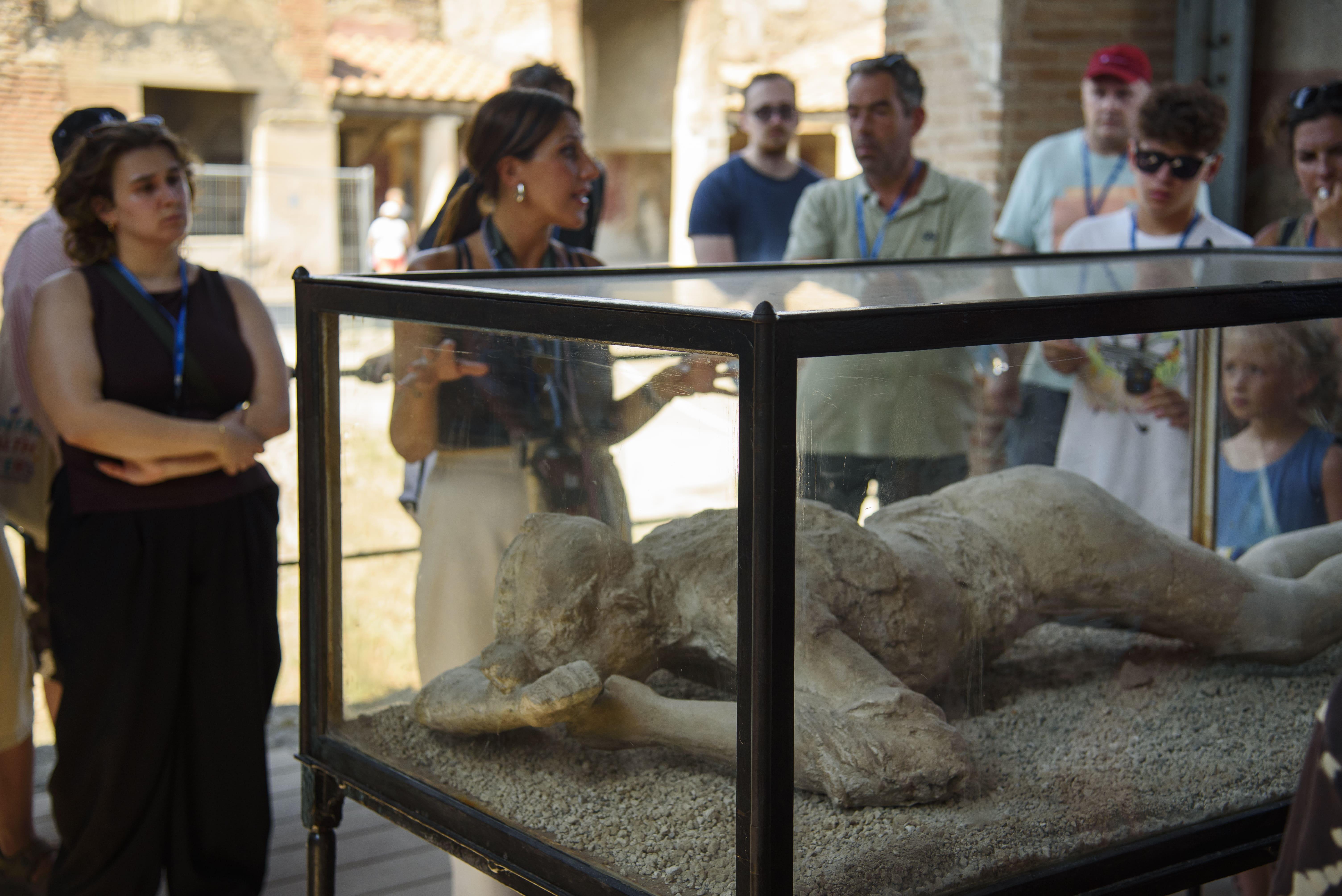From Naples: Pompeii Guided Tour, Skip-the-Line & Transport