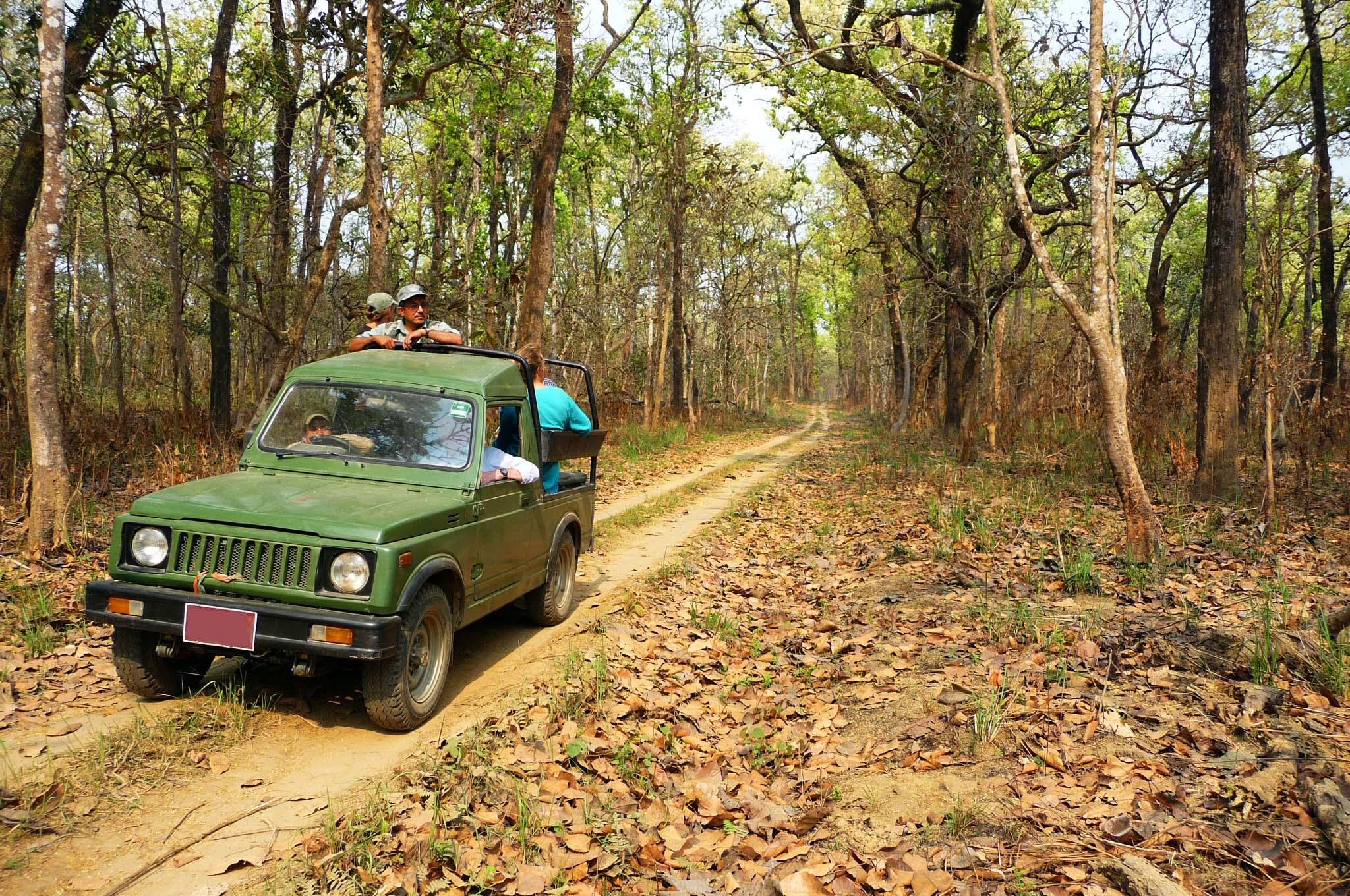 Chitwan Jungle Safari: 2, 3, or 4-Day Wildlife Adventure from Kathmandu or Pokhara