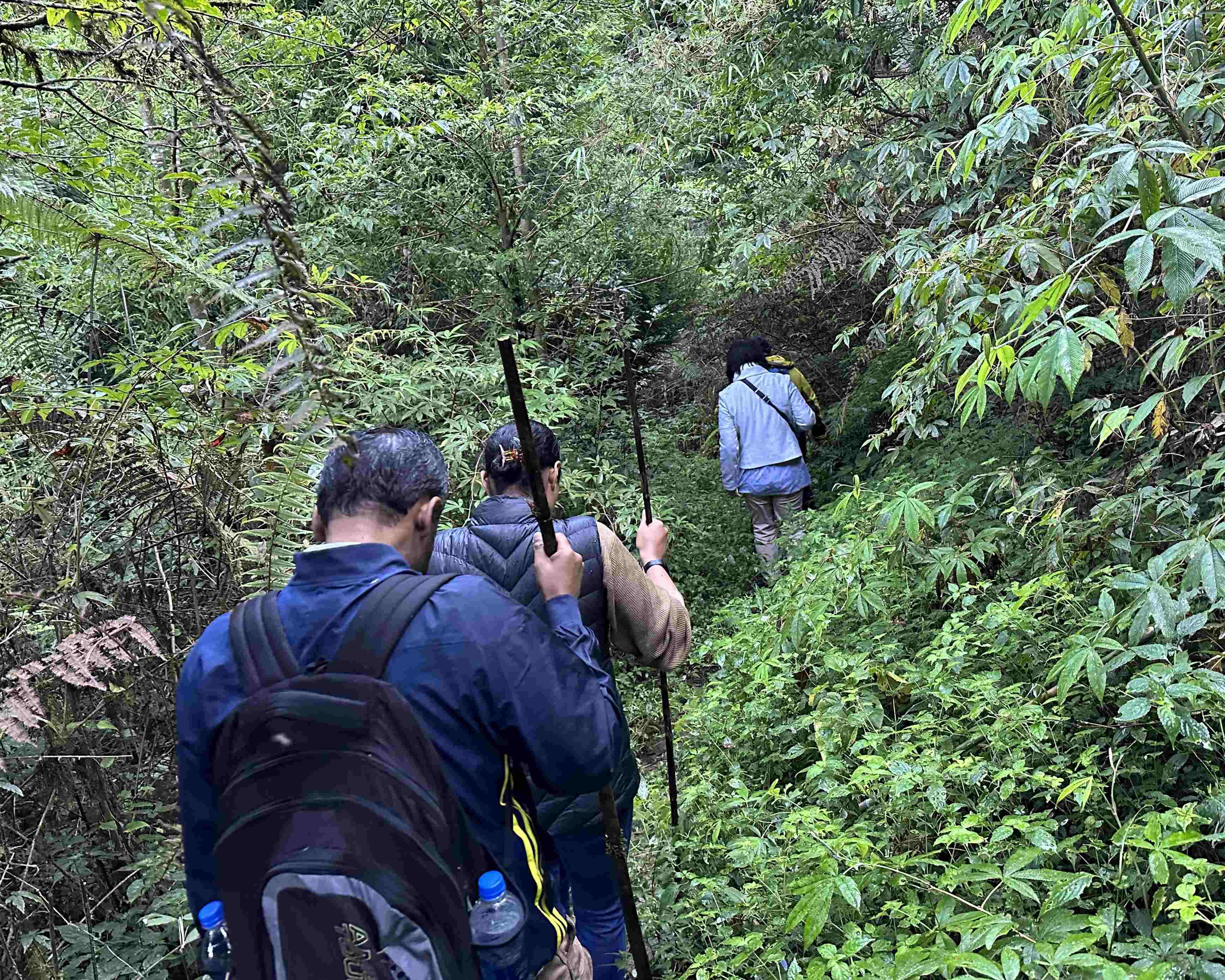 Darjeeling: Tiger Hill Sunrise & Guided Trekking Day Tour