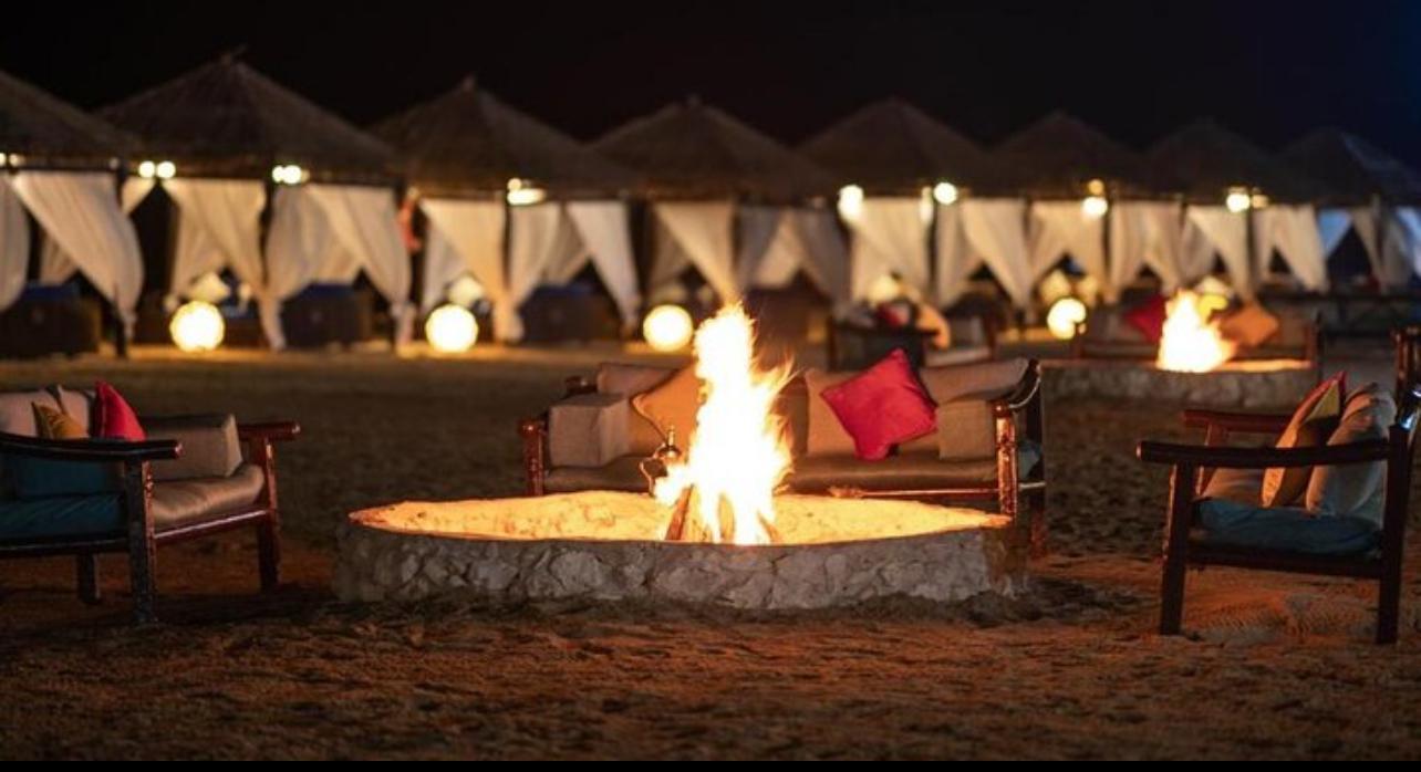 Full-Day Qatar Desert Safari with Camp Dining