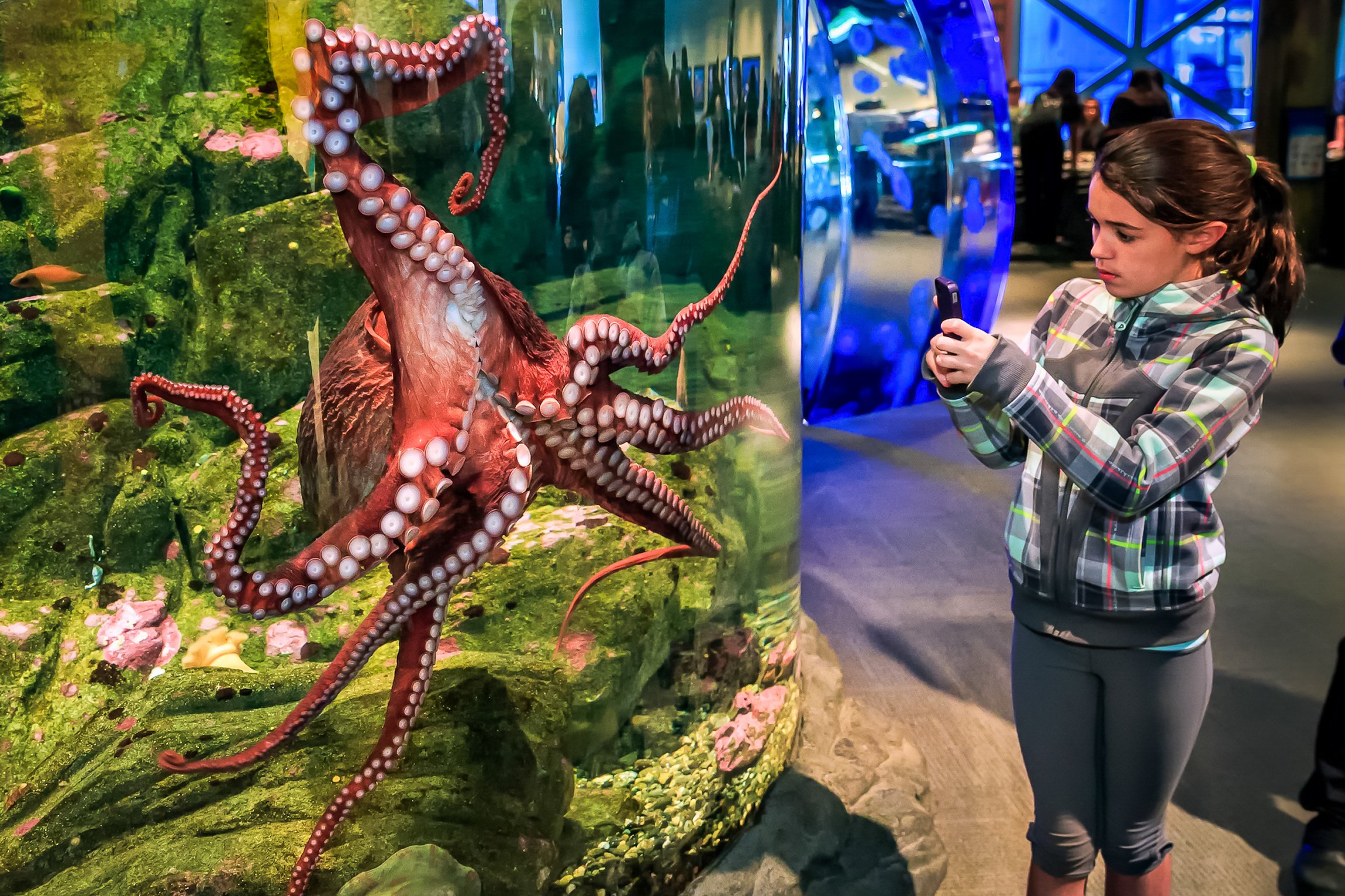 Seattle CityPASS attractions — Space Needle, Seattle Aquarium and the harbor — image 7