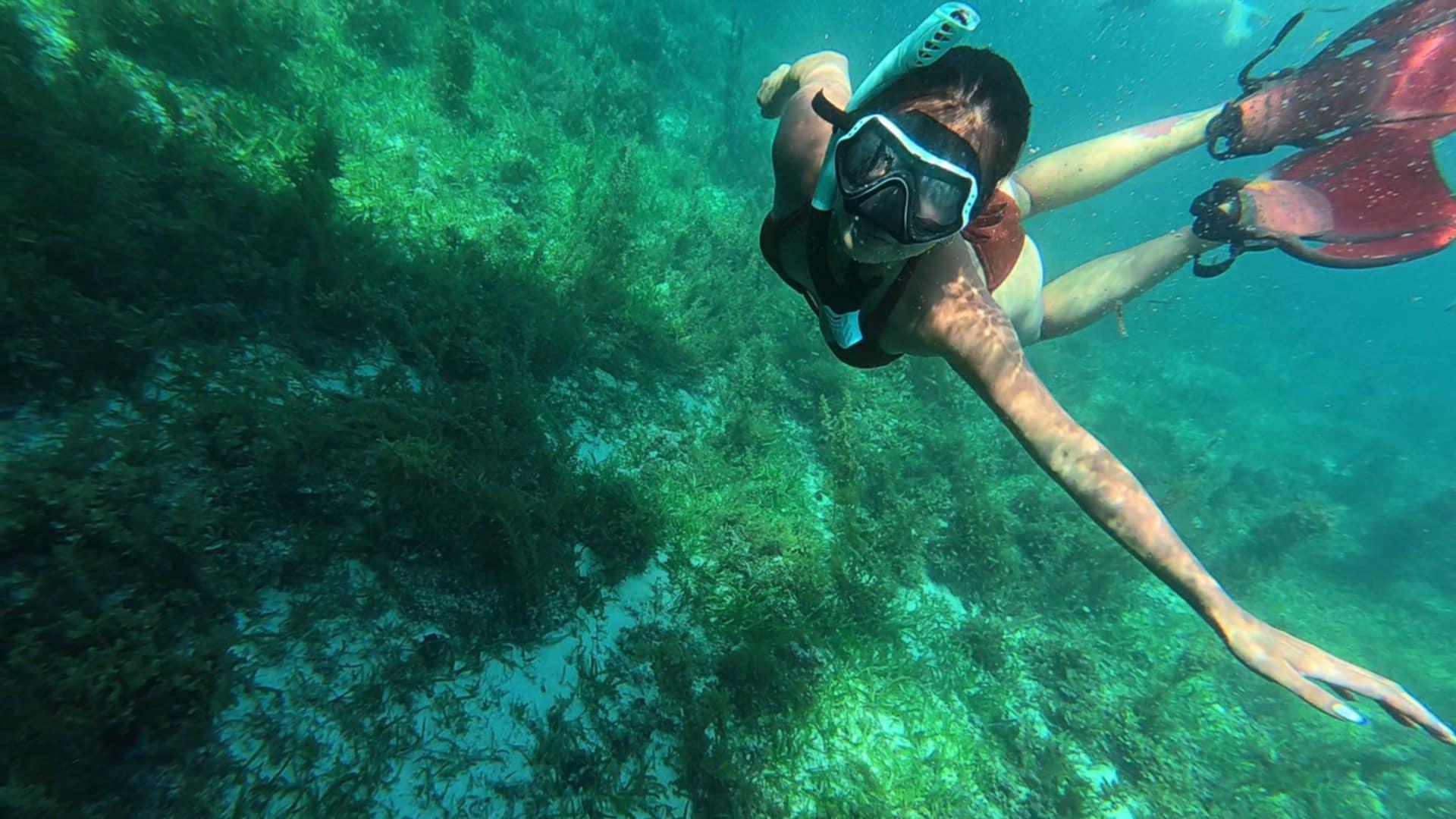 Oslob Whale Shark Swim, Sumilon Island & Southern Cebu Day Tour