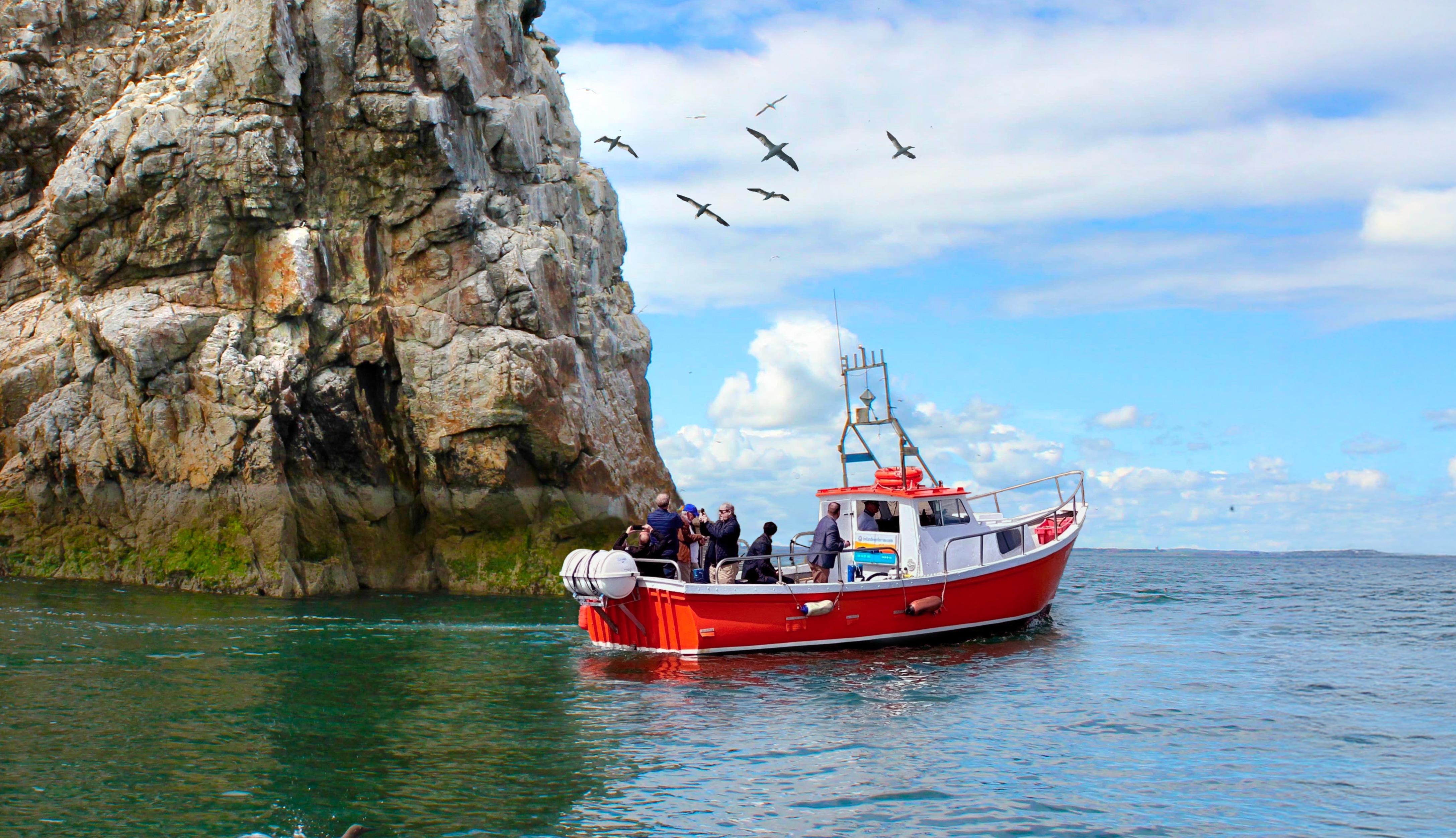 Howth Coastal Boat Tour from Dublin