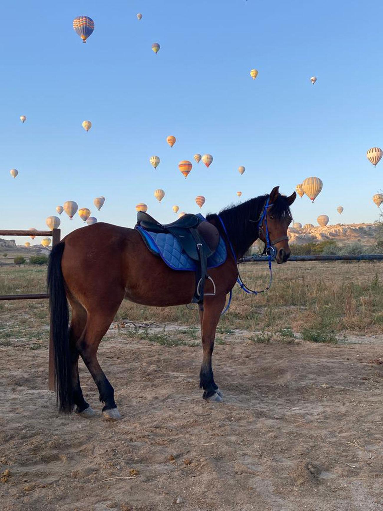 Cappadocia Horseback Riding Adventure with Sunrise & Sunset Options